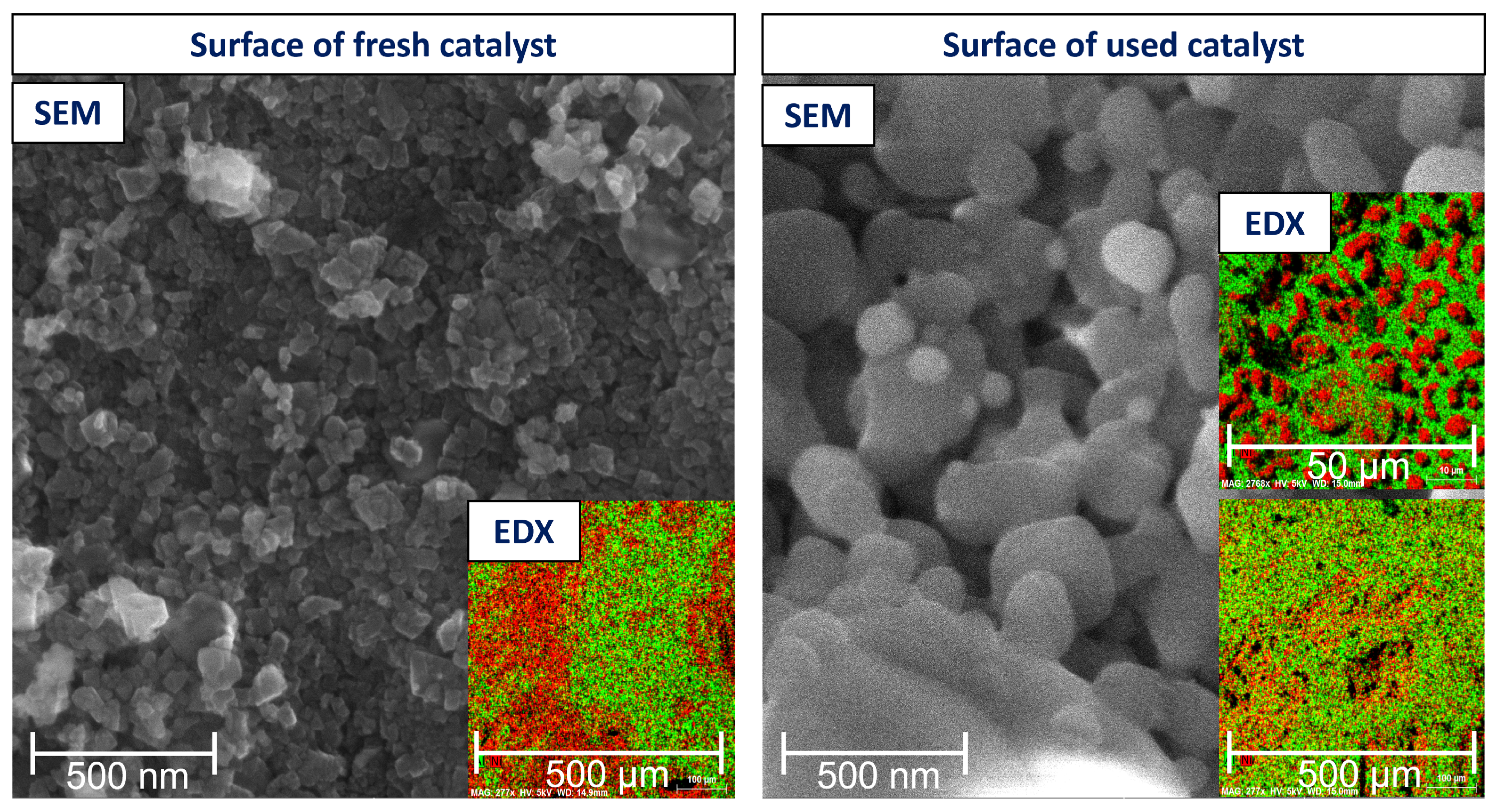 Catalysts 13 00884 g003