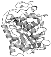 Catalysts 13 00887 i001