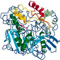 Catalysts 13 00887 i002