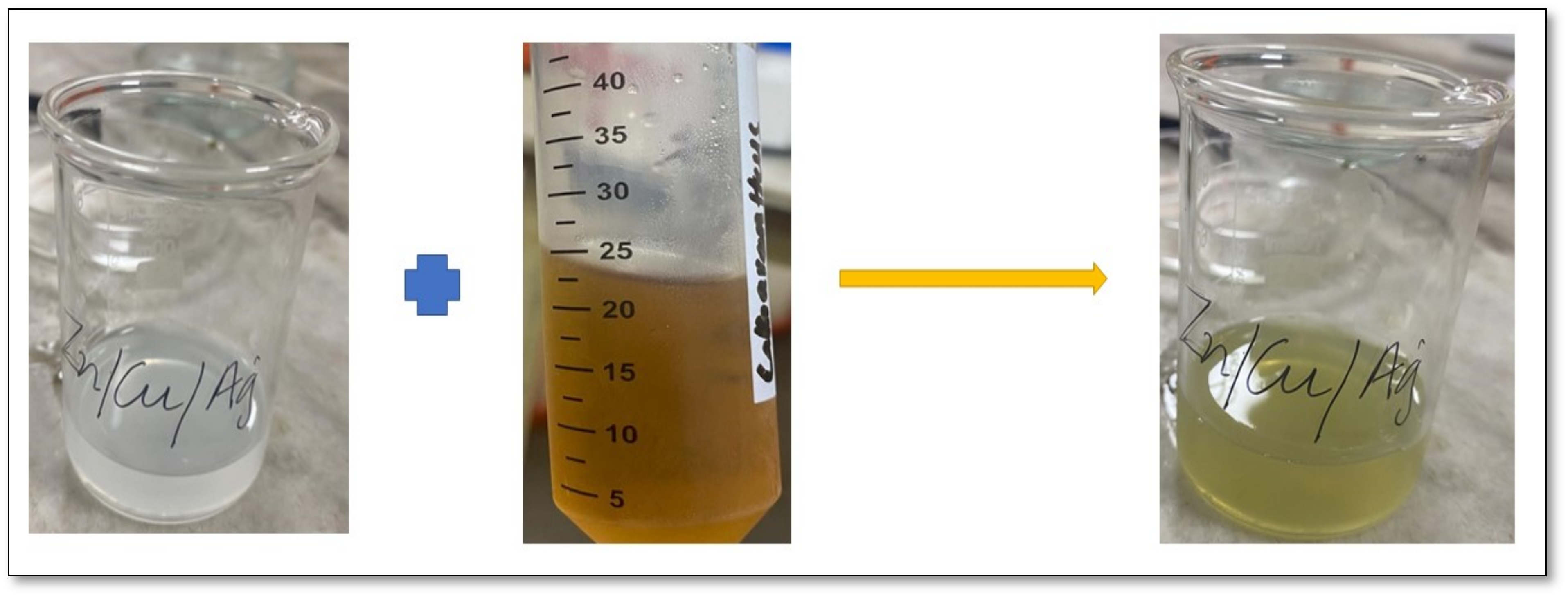 Catalysts 13 00891 g001 Catalysts 13 00891 g001