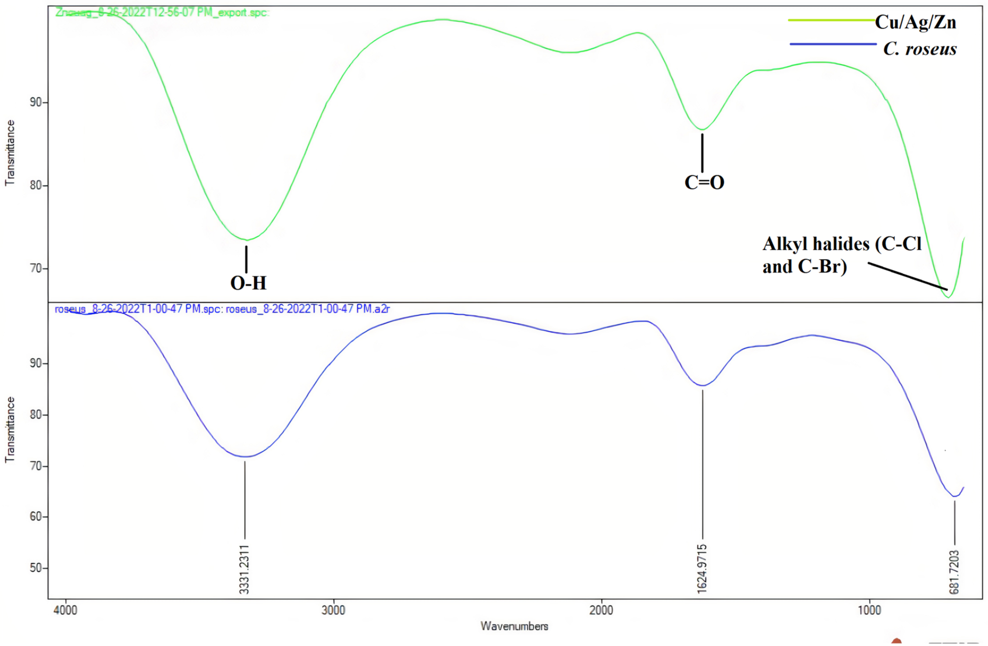 Catalysts 13 00891 g003 Catalysts 13 00891 g003