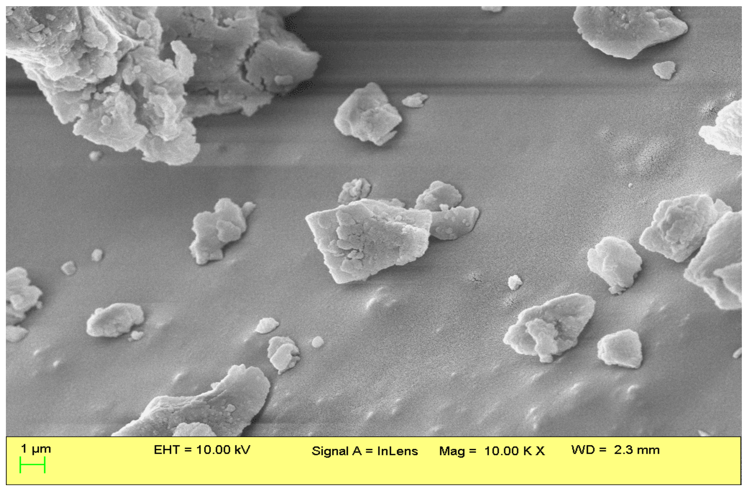 Catalysts 13 00891 g007 Catalysts 13 00891 g007