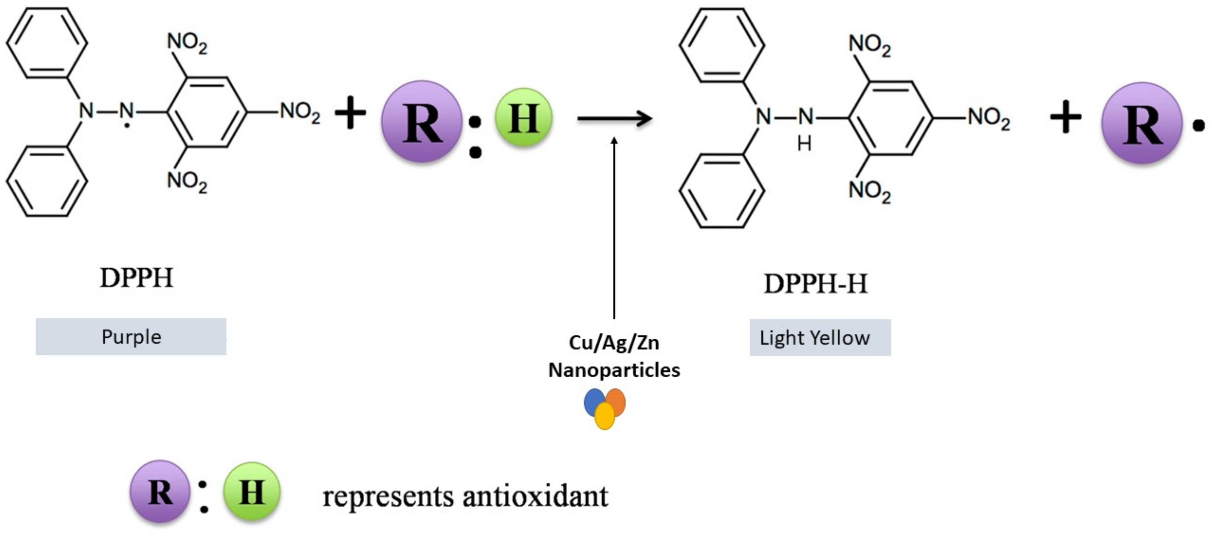 Catalysts 13 00891 g008 Catalysts 13 00891 g008