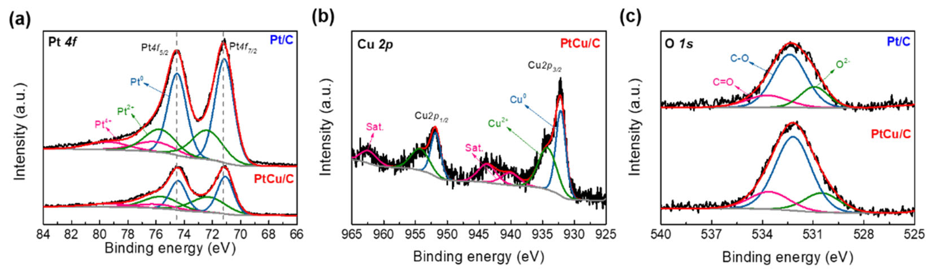 Catalysts 13 00892 g003
