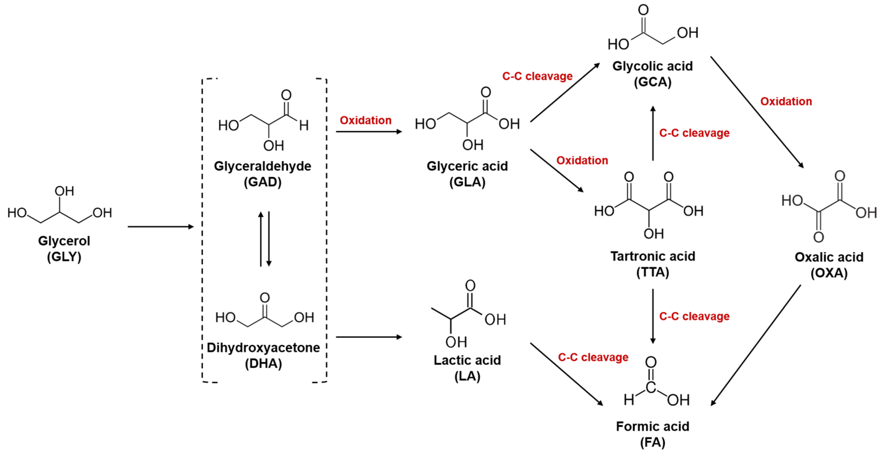 Catalysts 13 00892 sch001
