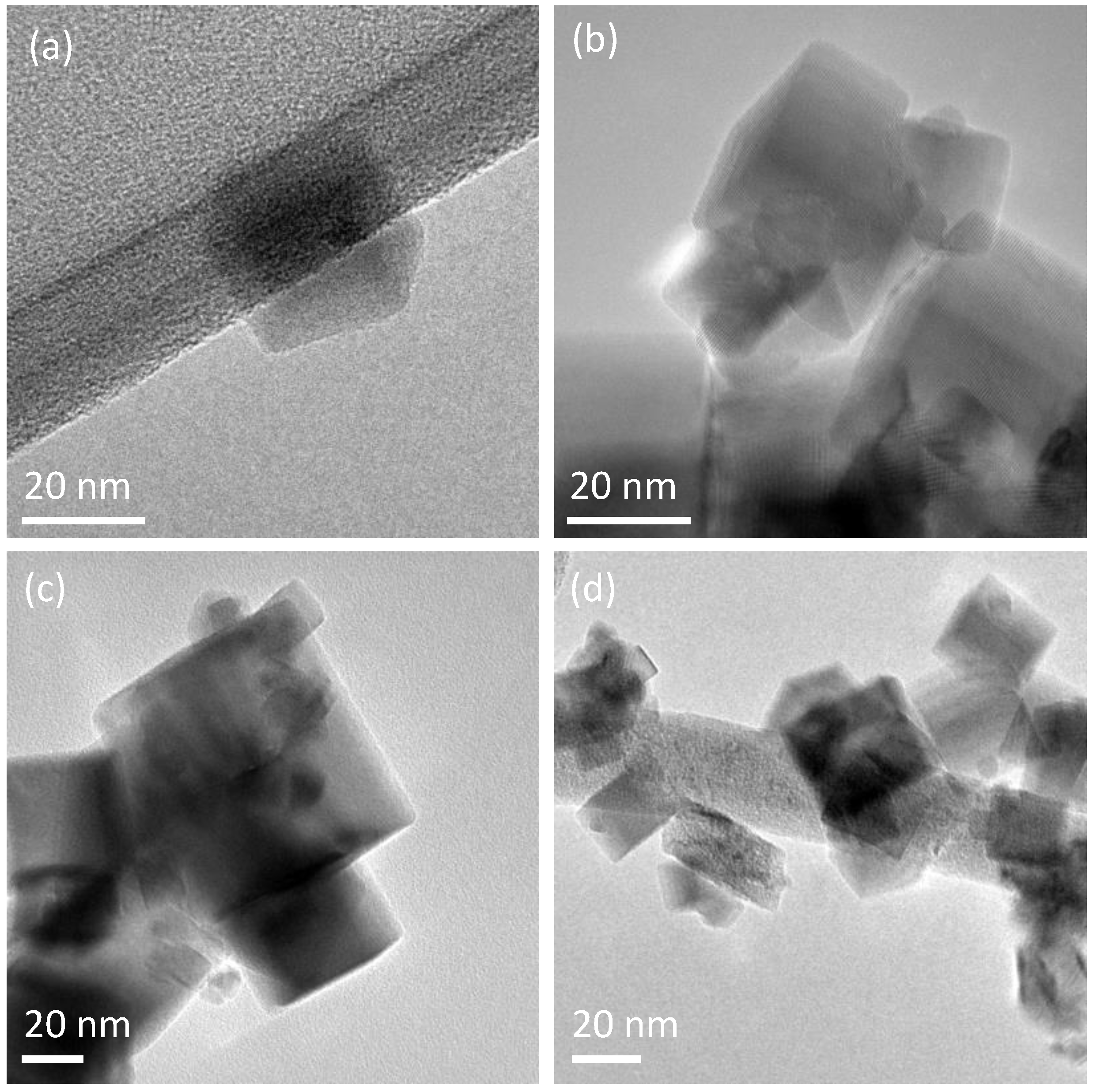 Catalysts 13 00894 g001
