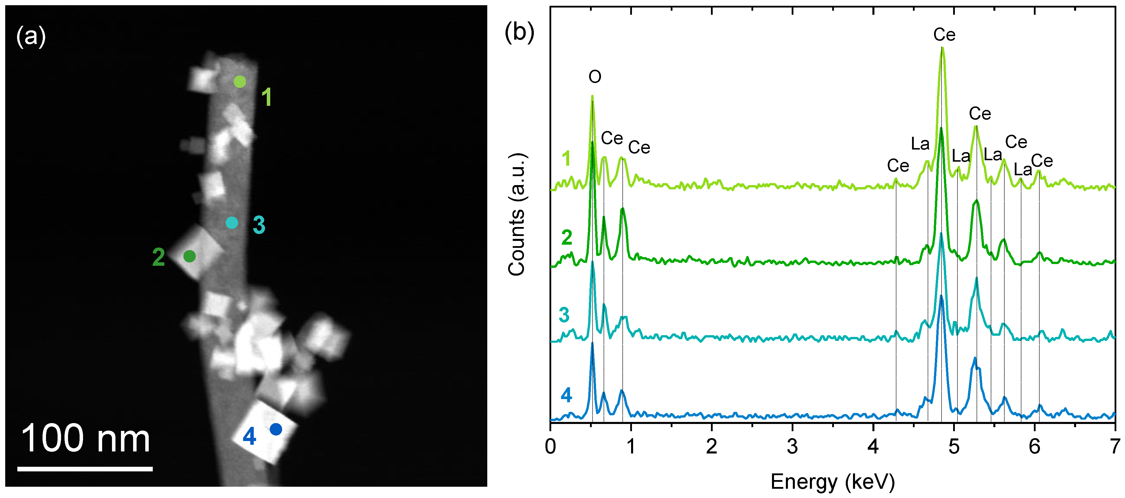 Catalysts 13 00894 g003