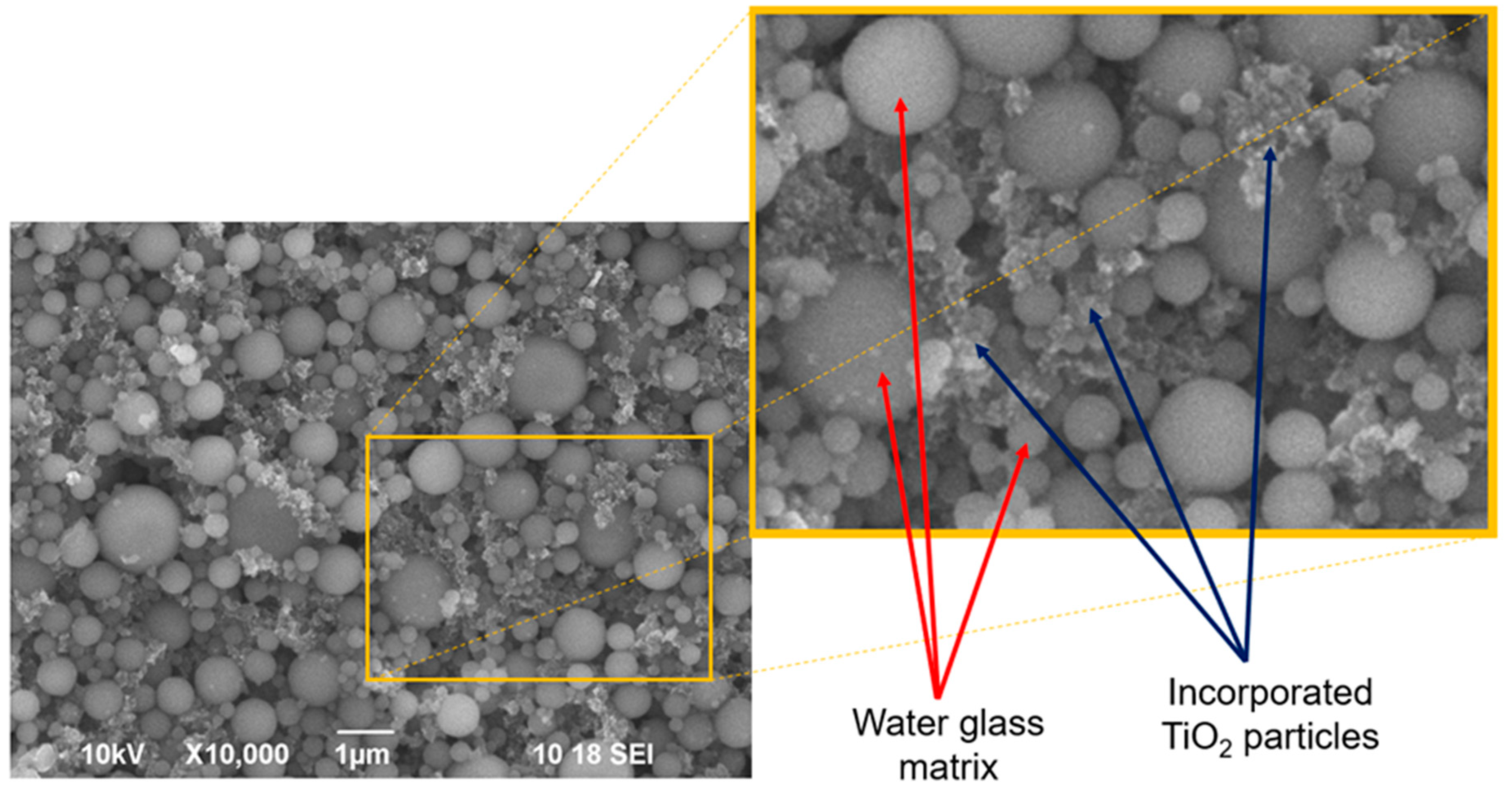 Catalysts 13 00898 g004