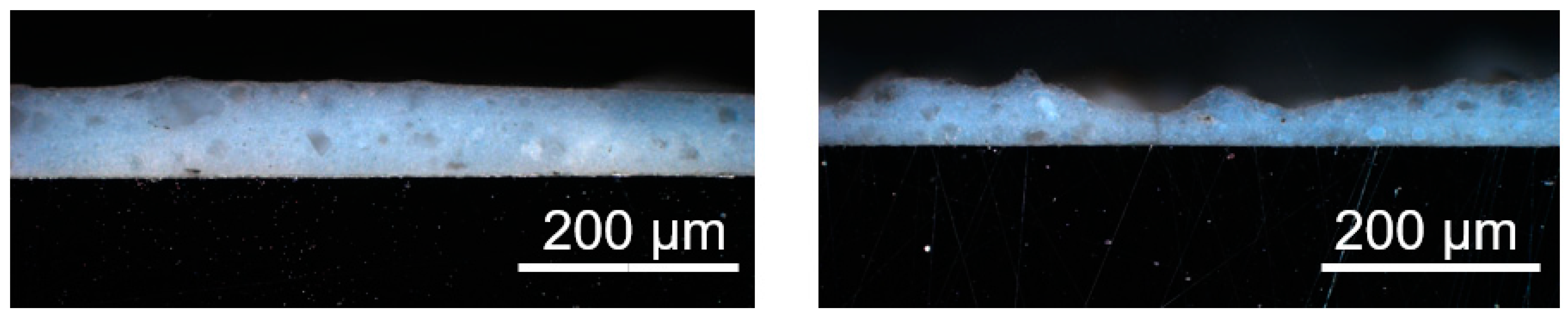 Catalysts 13 00898 g005