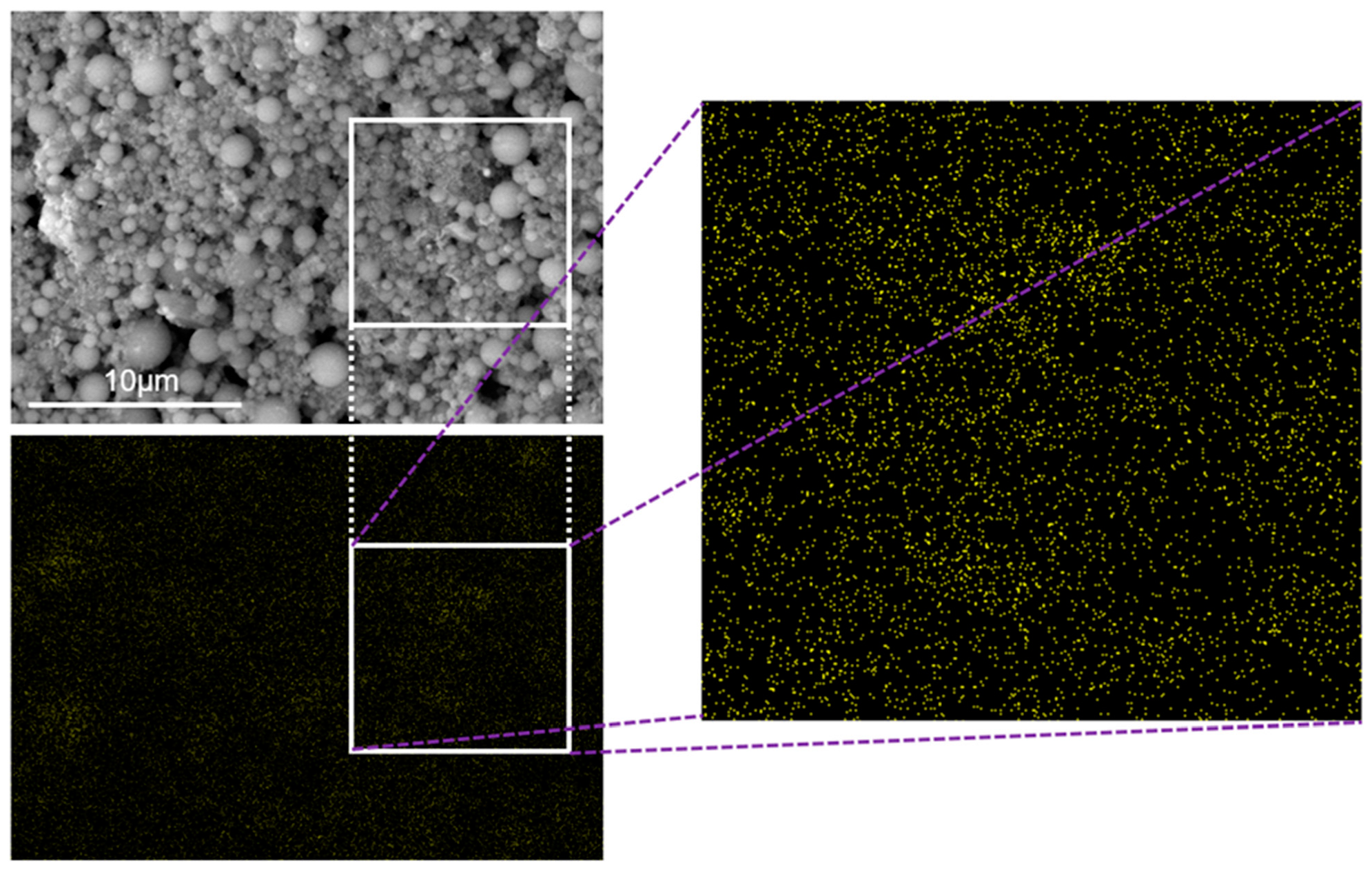Catalysts 13 00898 g007