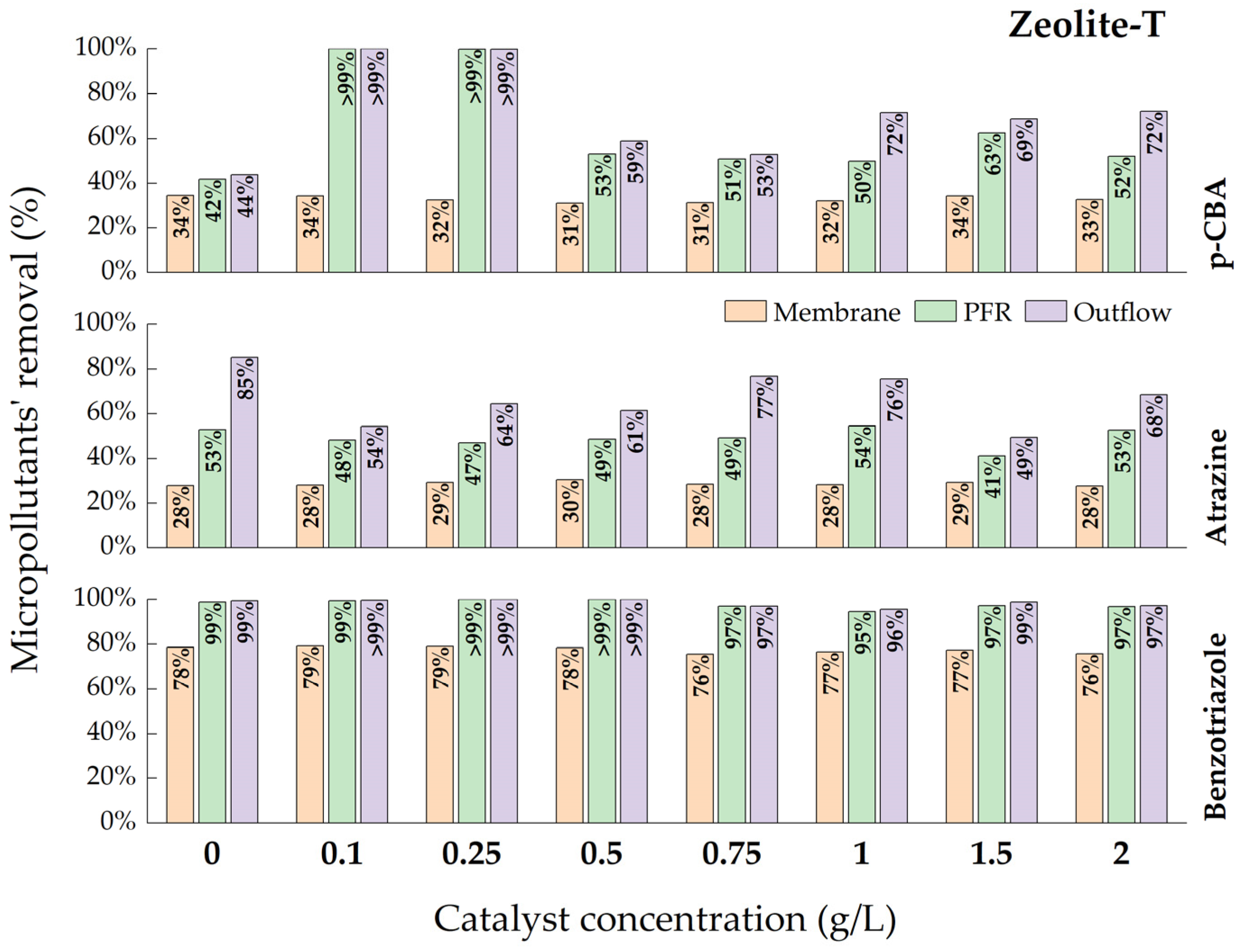 Catalysts 13 00899 g001