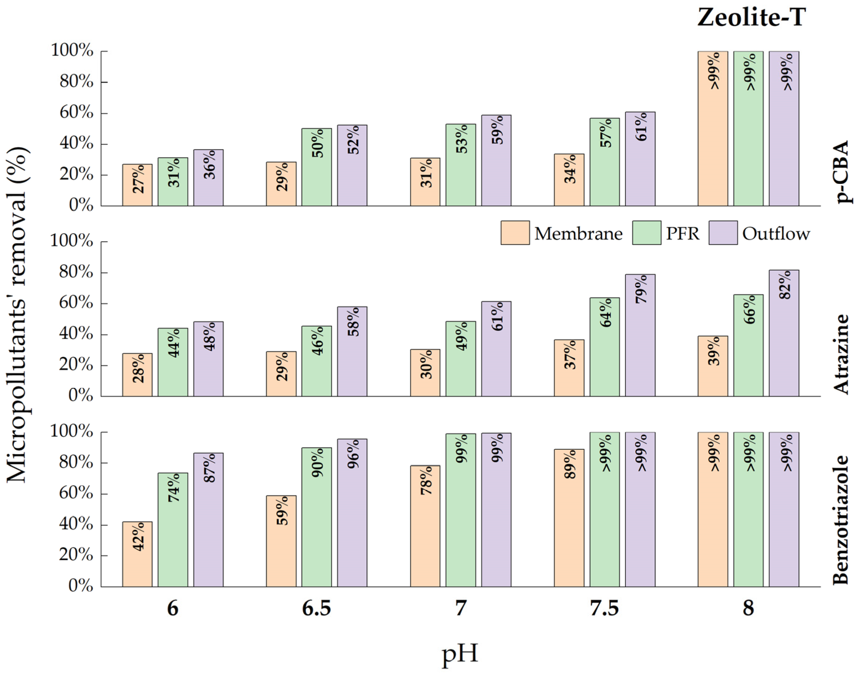 Catalysts 13 00899 g004