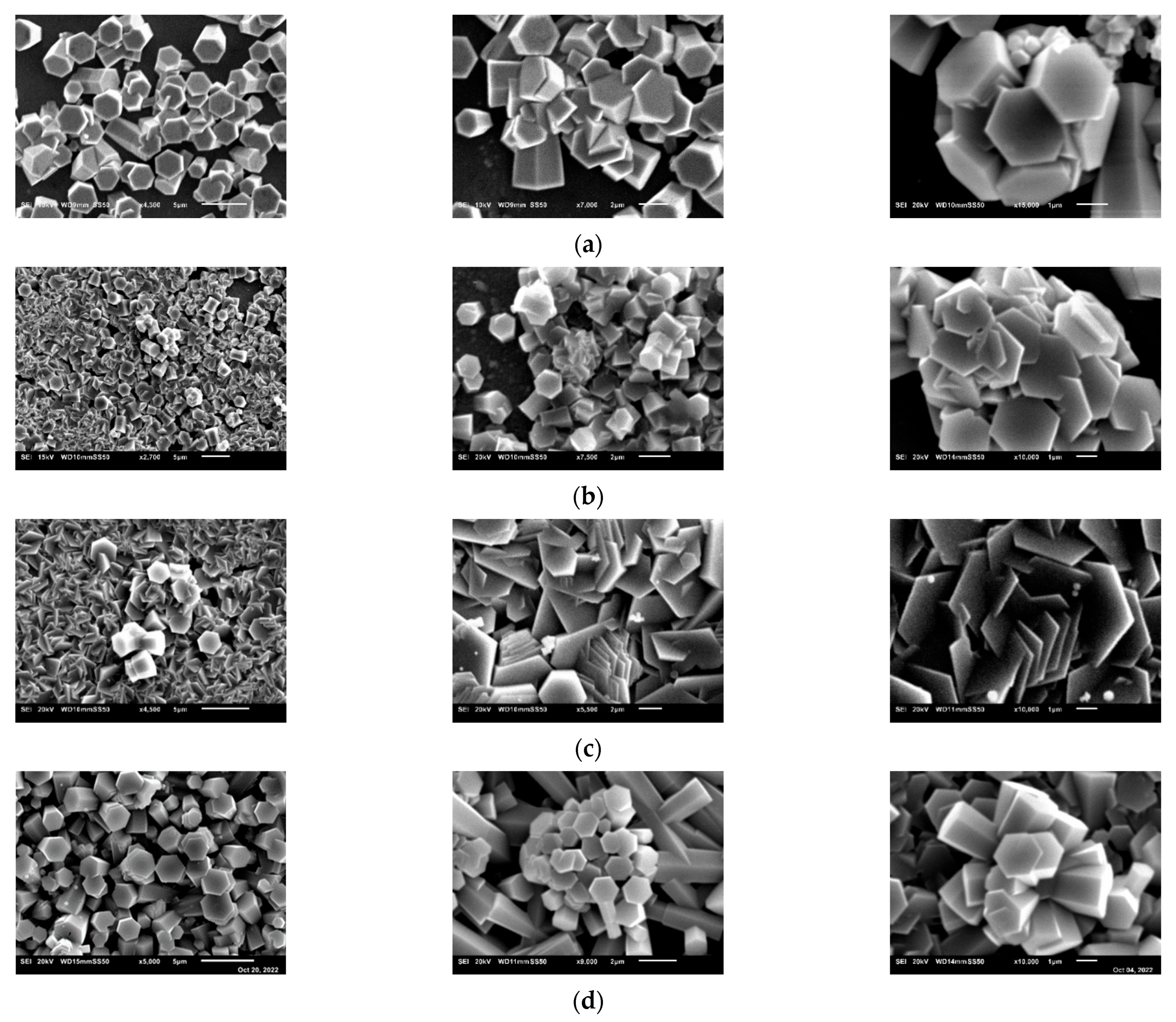 Catalysts 13 00900 g002