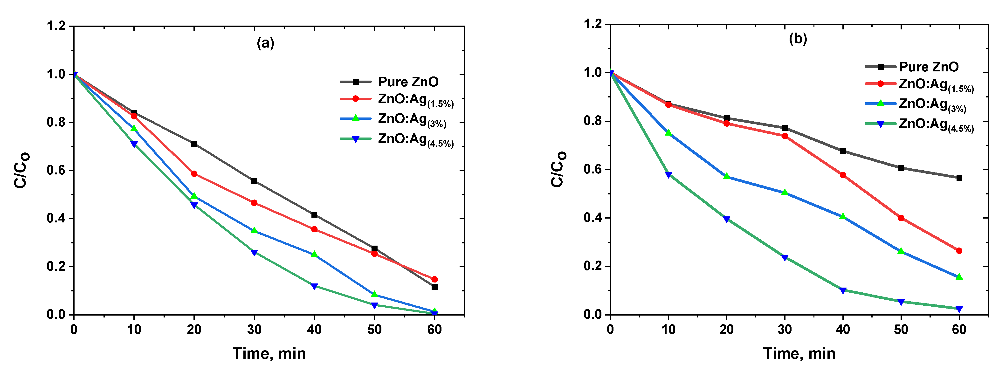 Catalysts 13 00900 g008