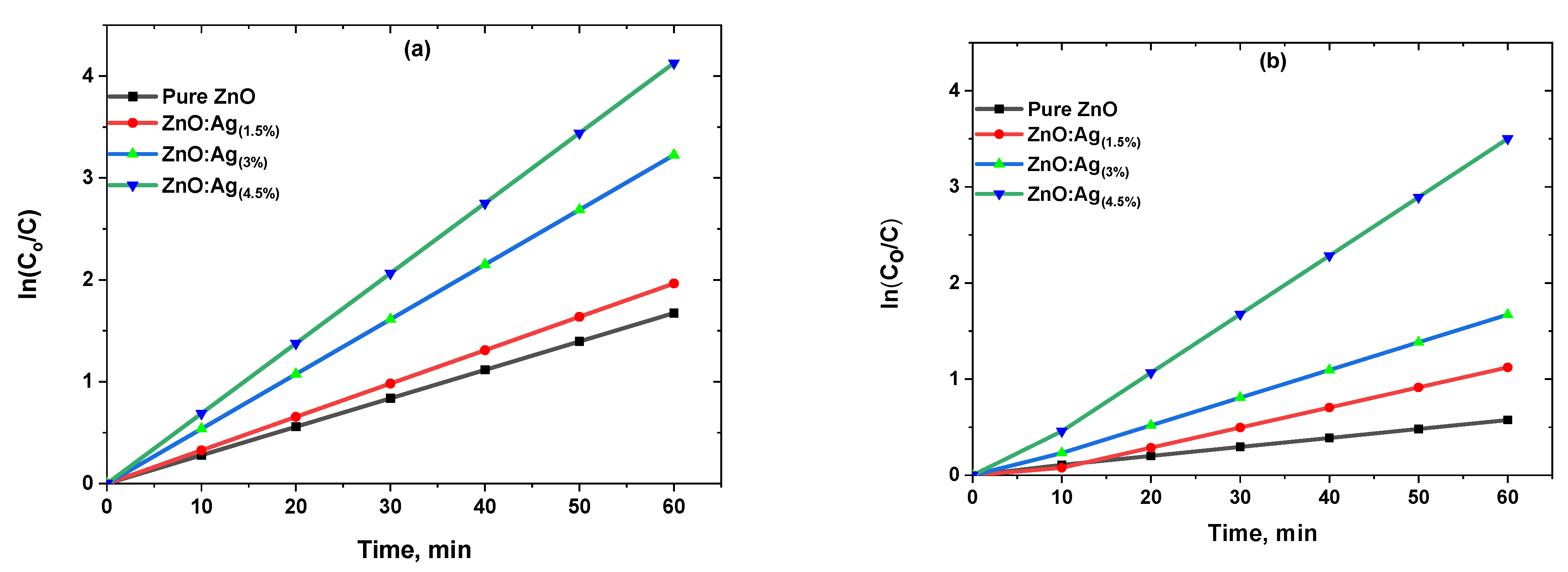 Catalysts 13 00900 g009