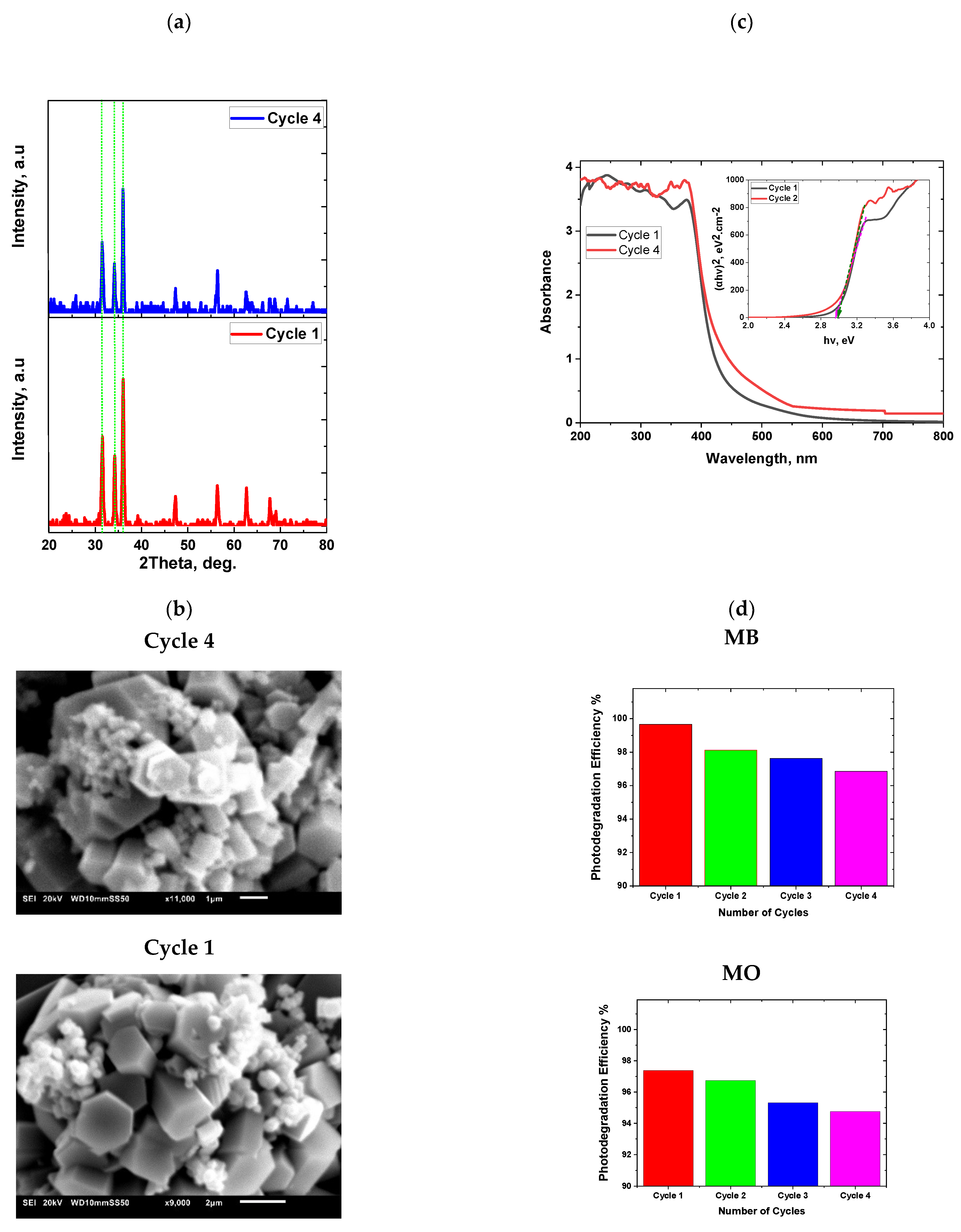 Catalysts 13 00900 g010