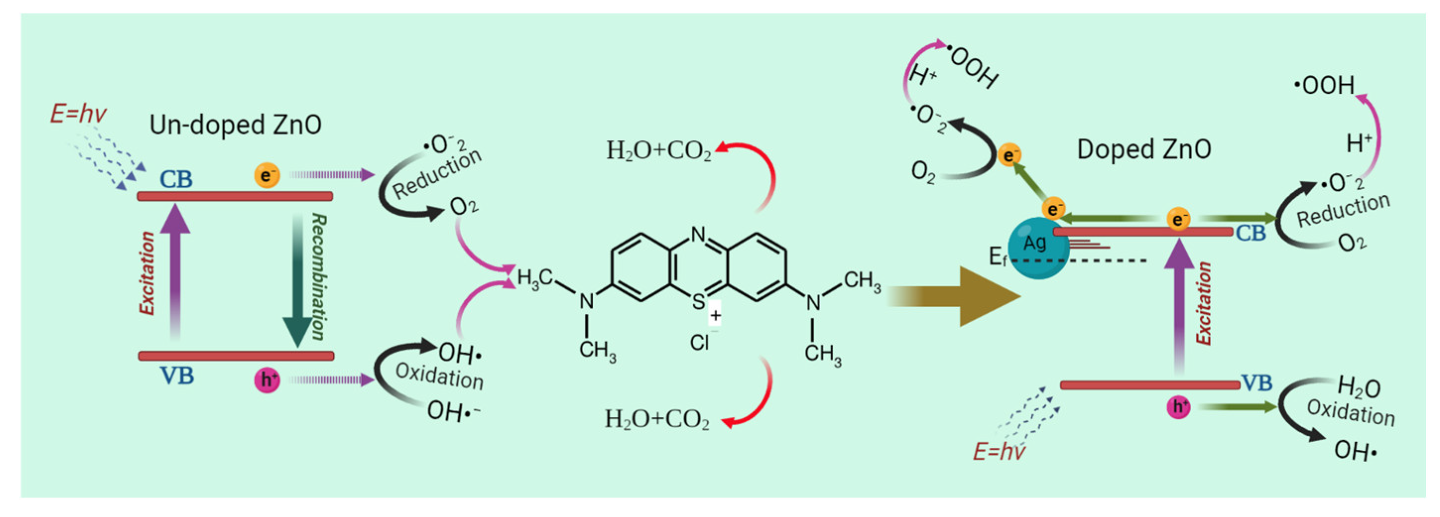 Catalysts 13 00900 g011