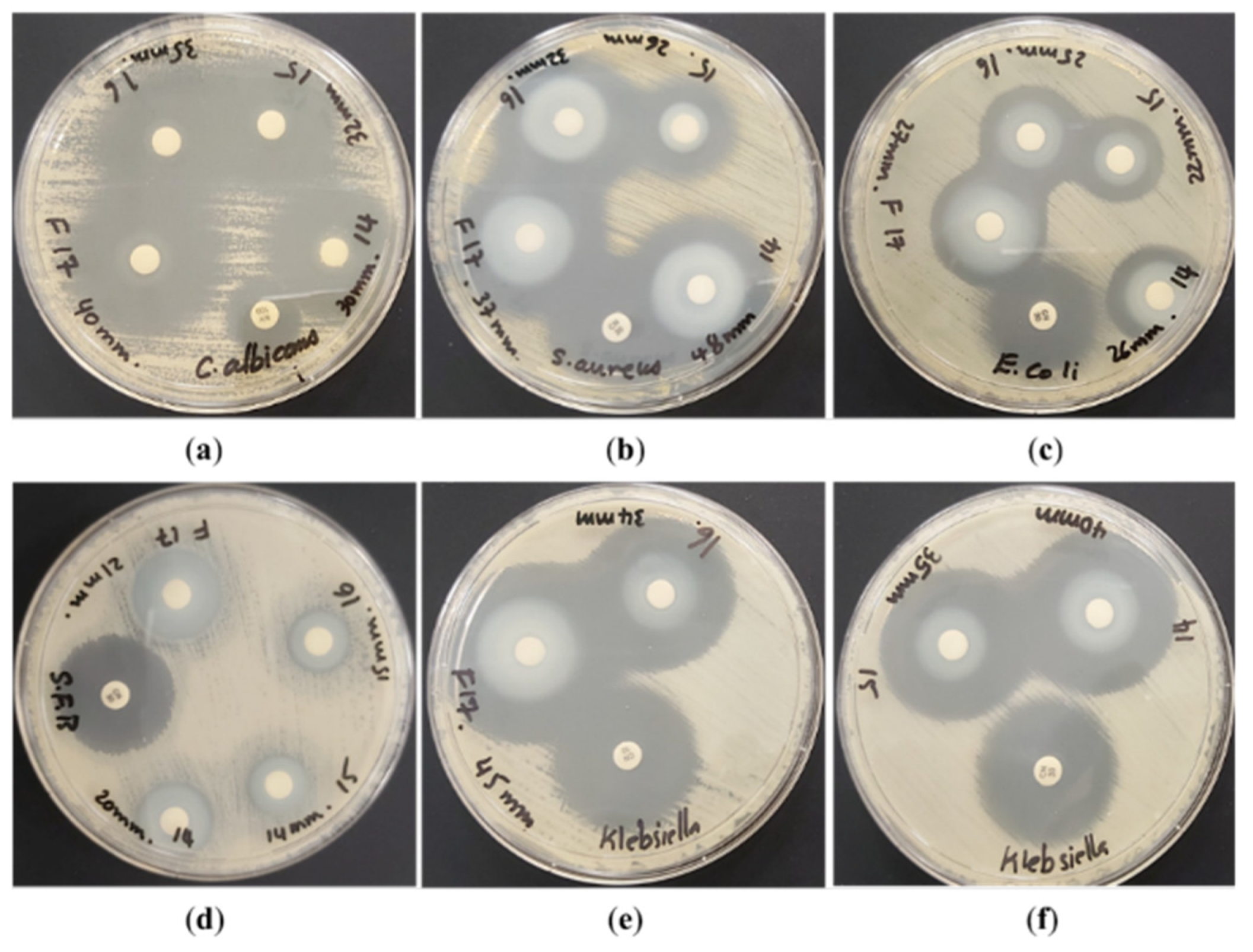 Catalysts 13 00900 g012
