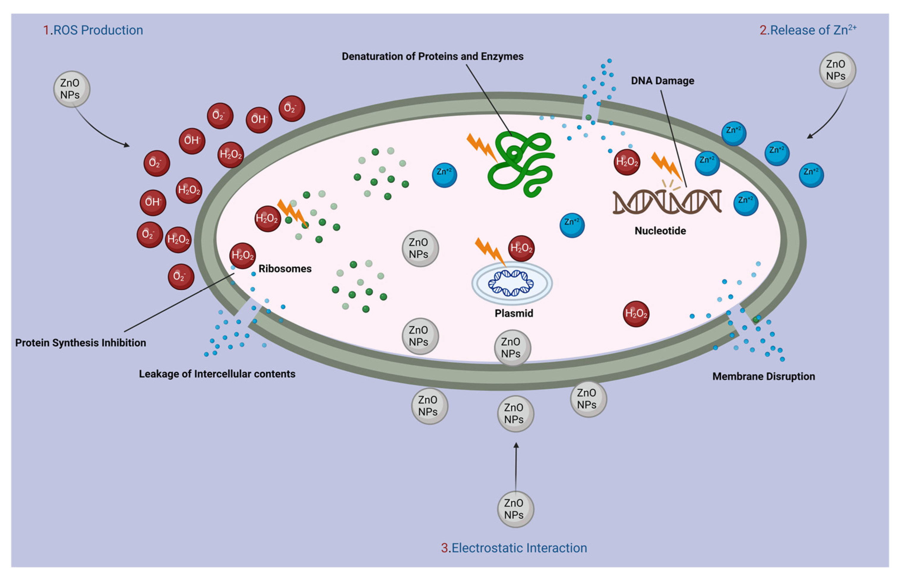 Catalysts 13 00900 g013