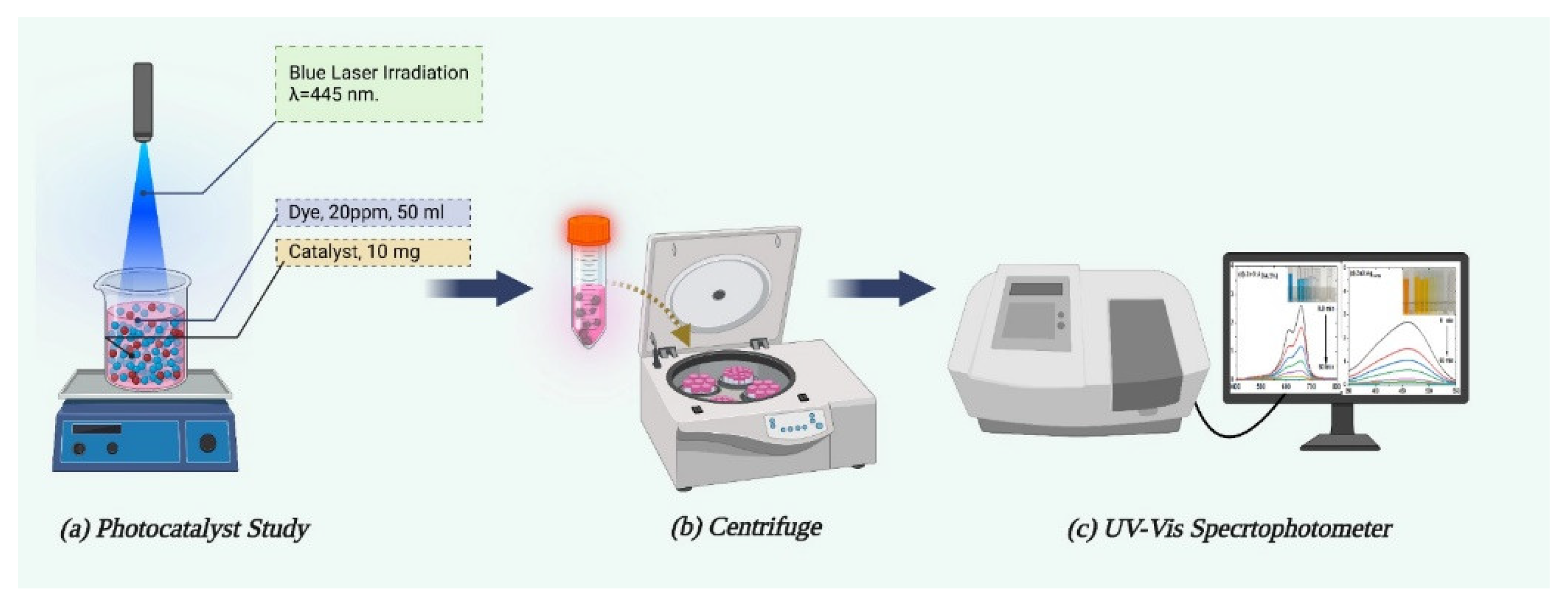 Catalysts 13 00900 g015