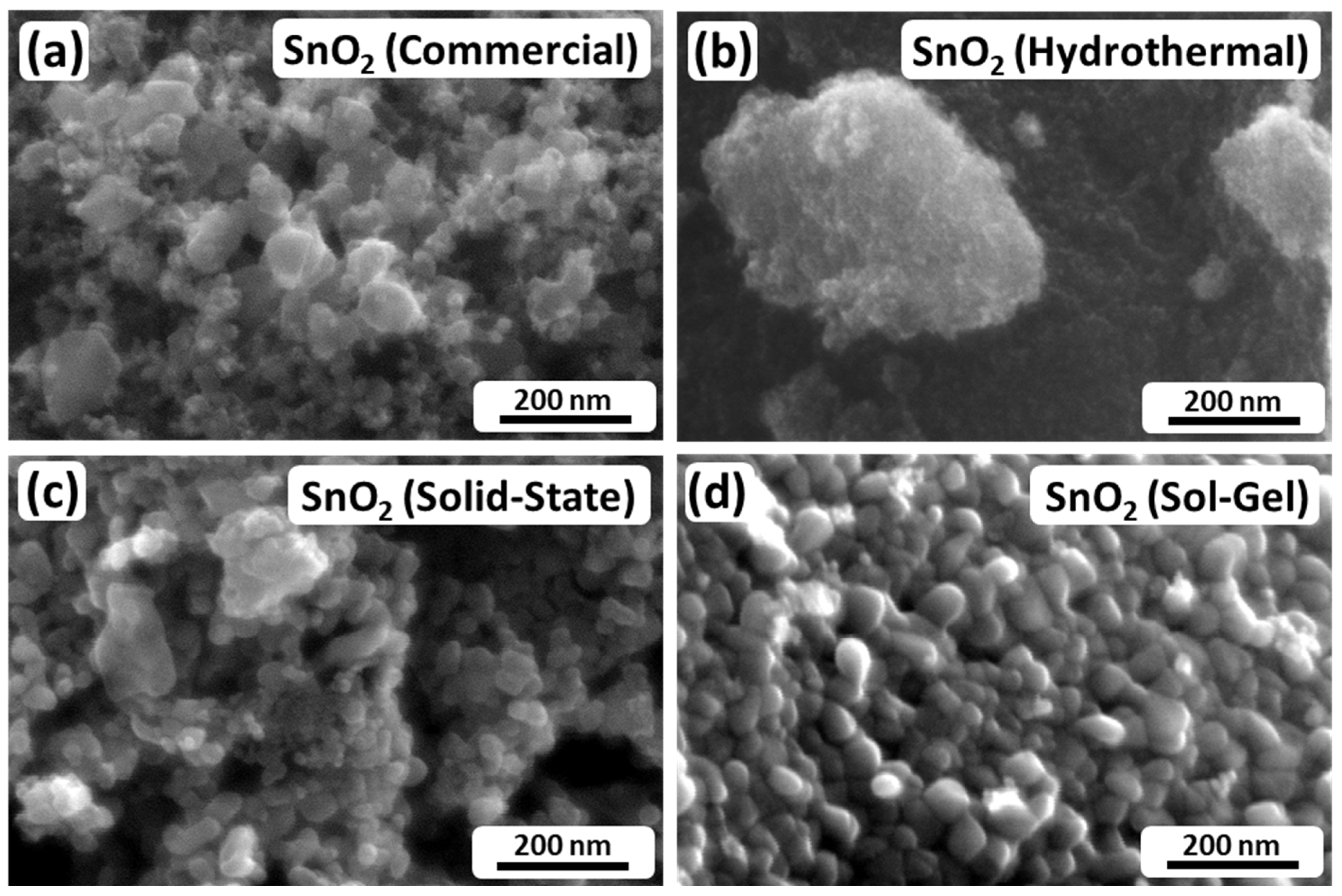 Catalysts 13 00903 g002 Catalysts 13 00903 g002