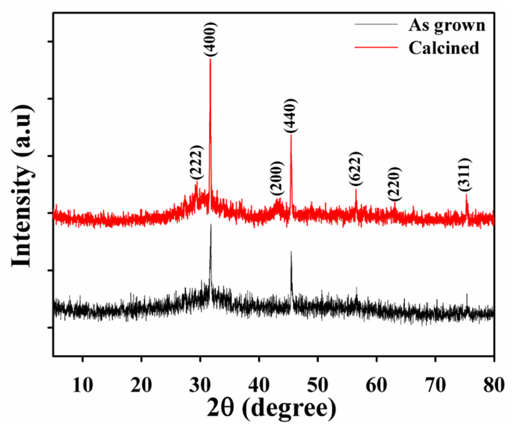 Catalysts 13 00905 g003