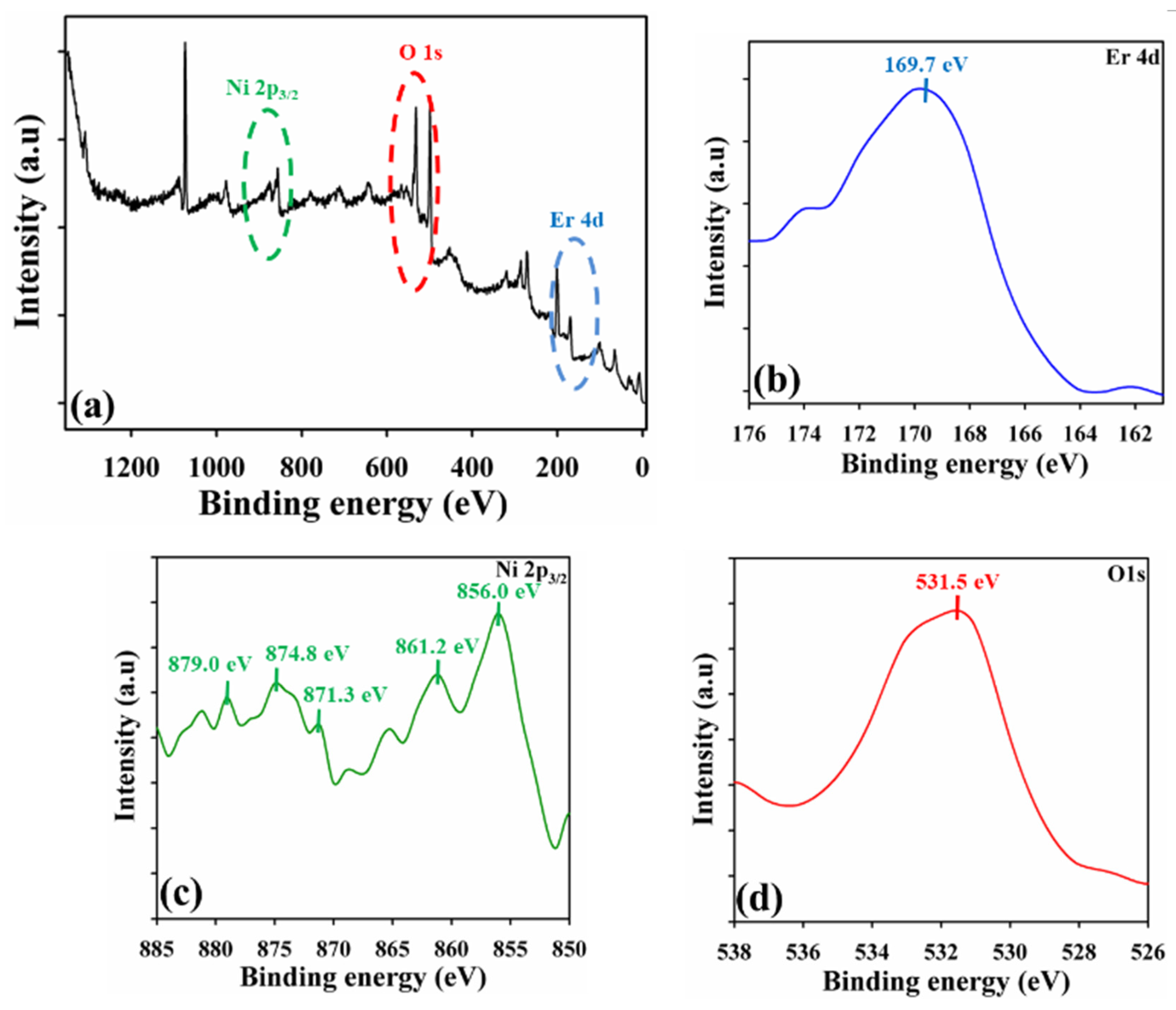 Catalysts 13 00905 g004