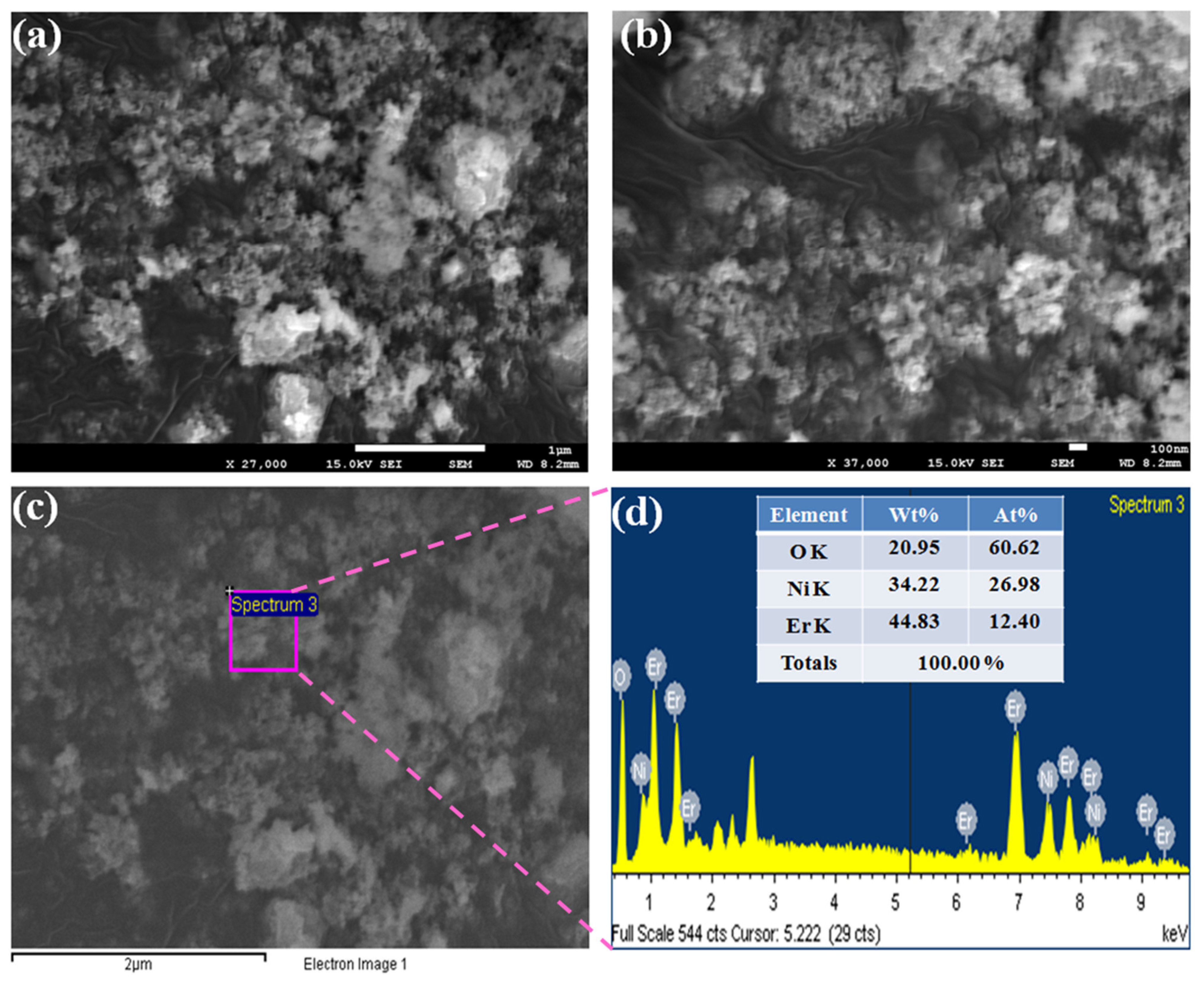 Catalysts 13 00905 g005