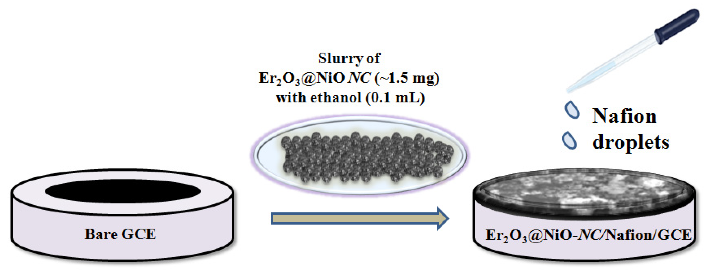 Catalysts 13 00905 sch005