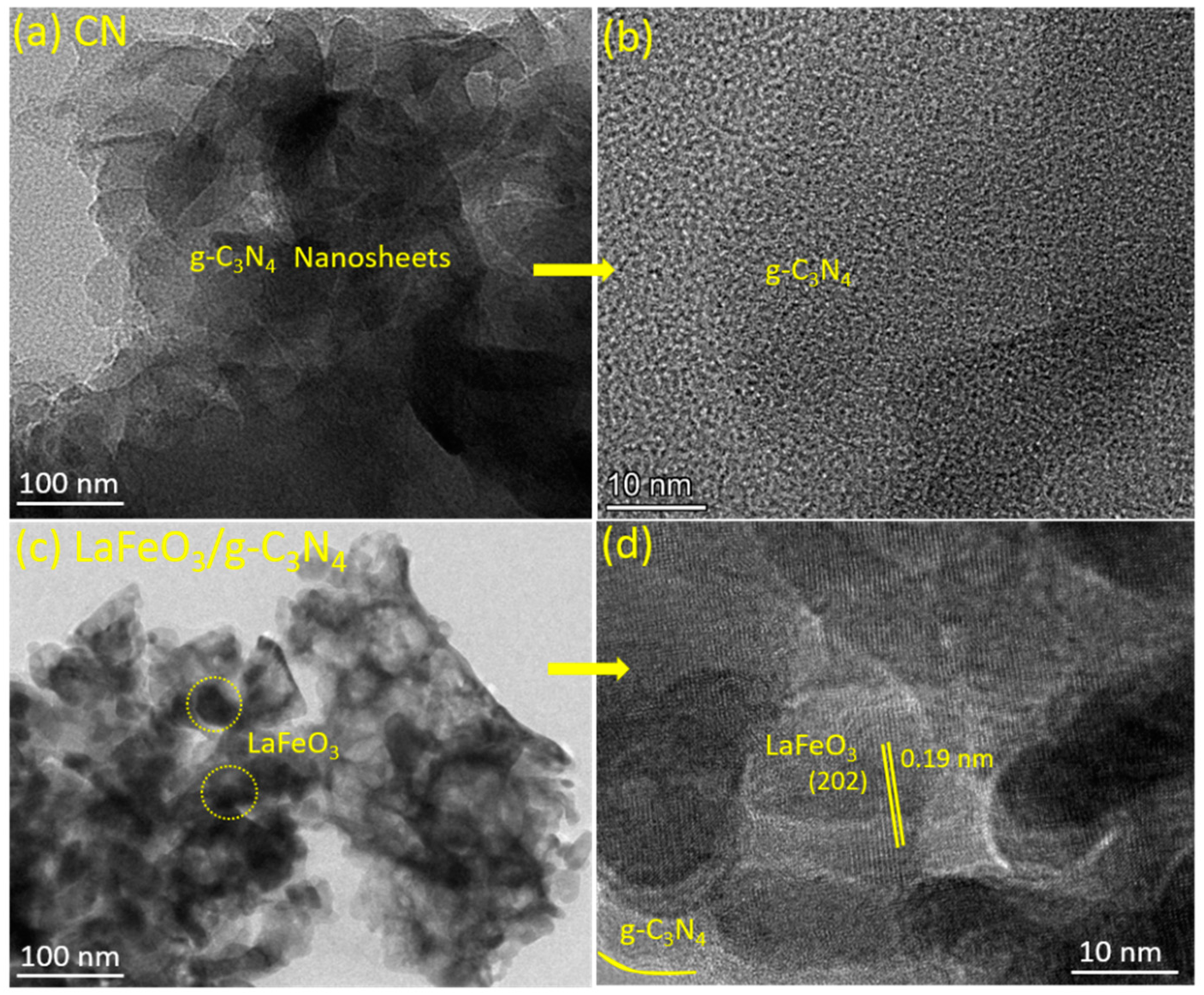 Catalysts 13 00907 g002