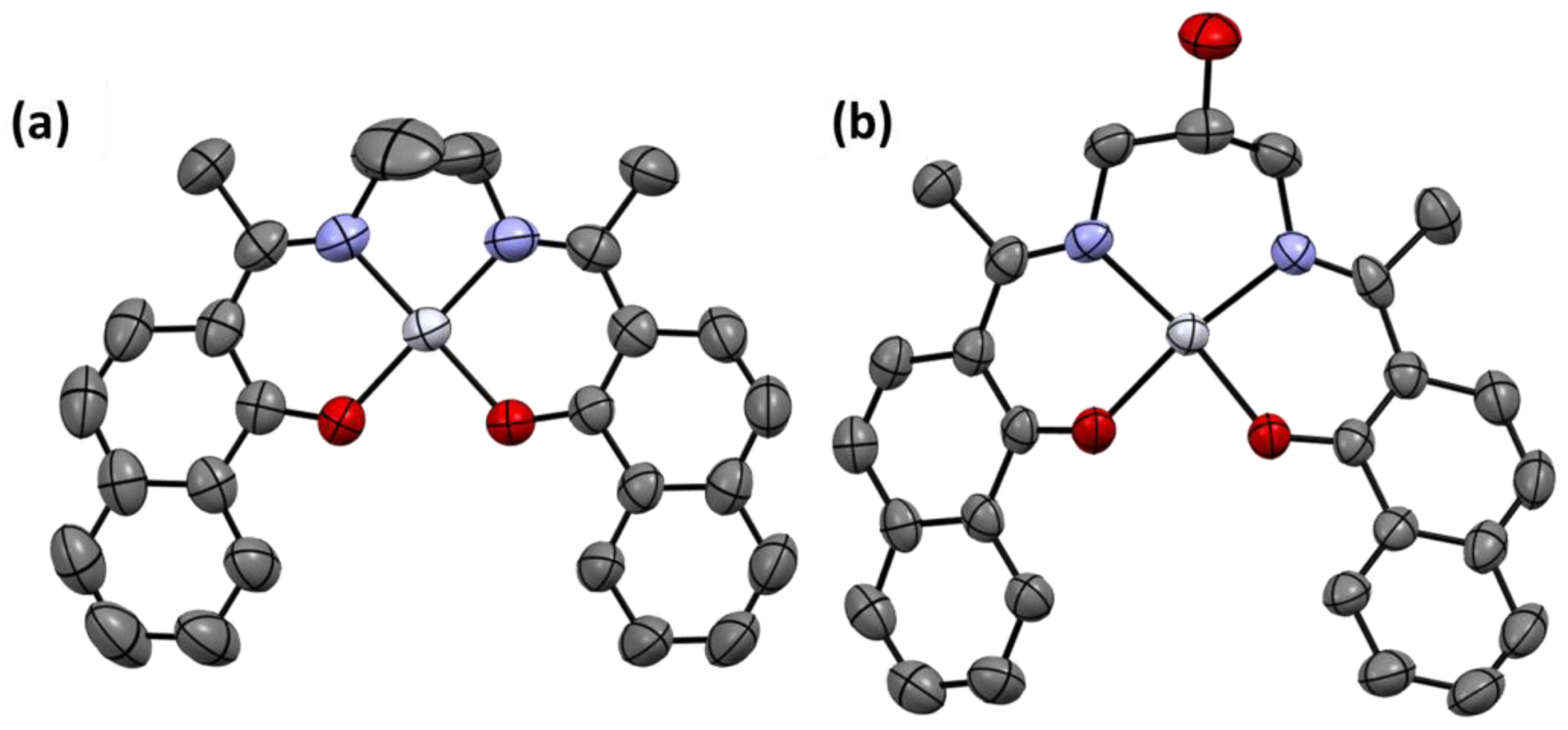 Catalysts 13 00911 g002