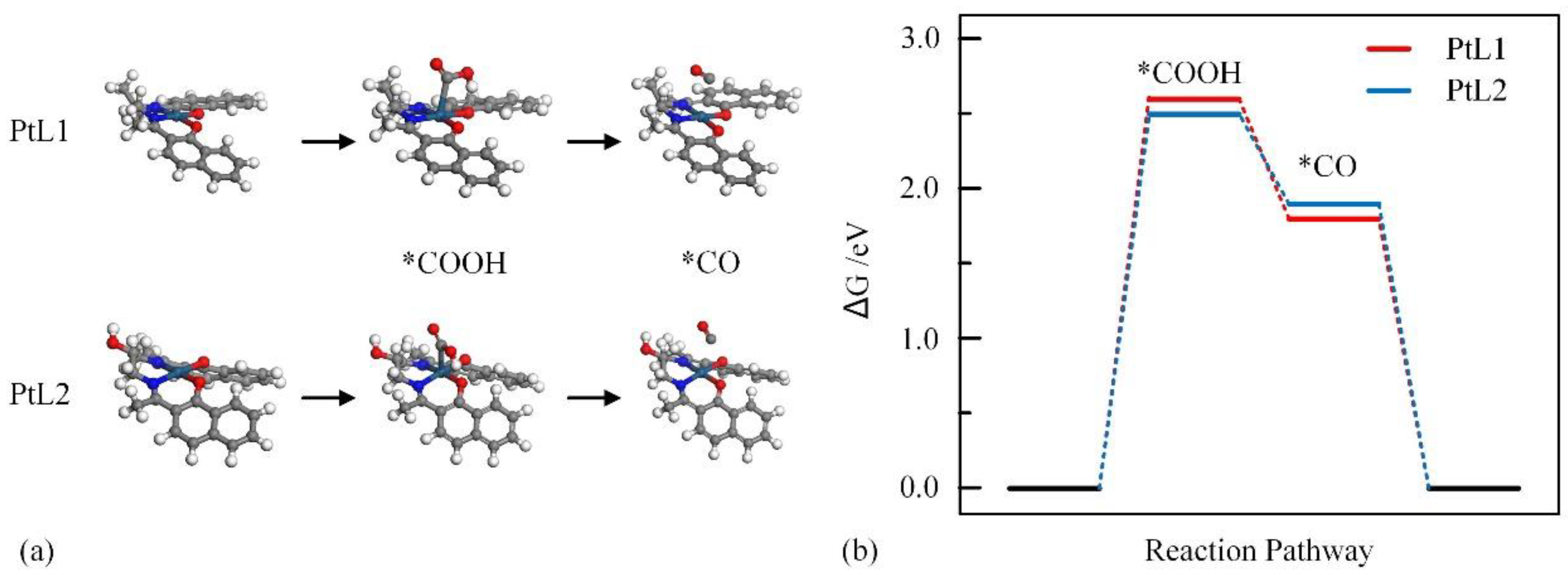Catalysts 13 00911 g004