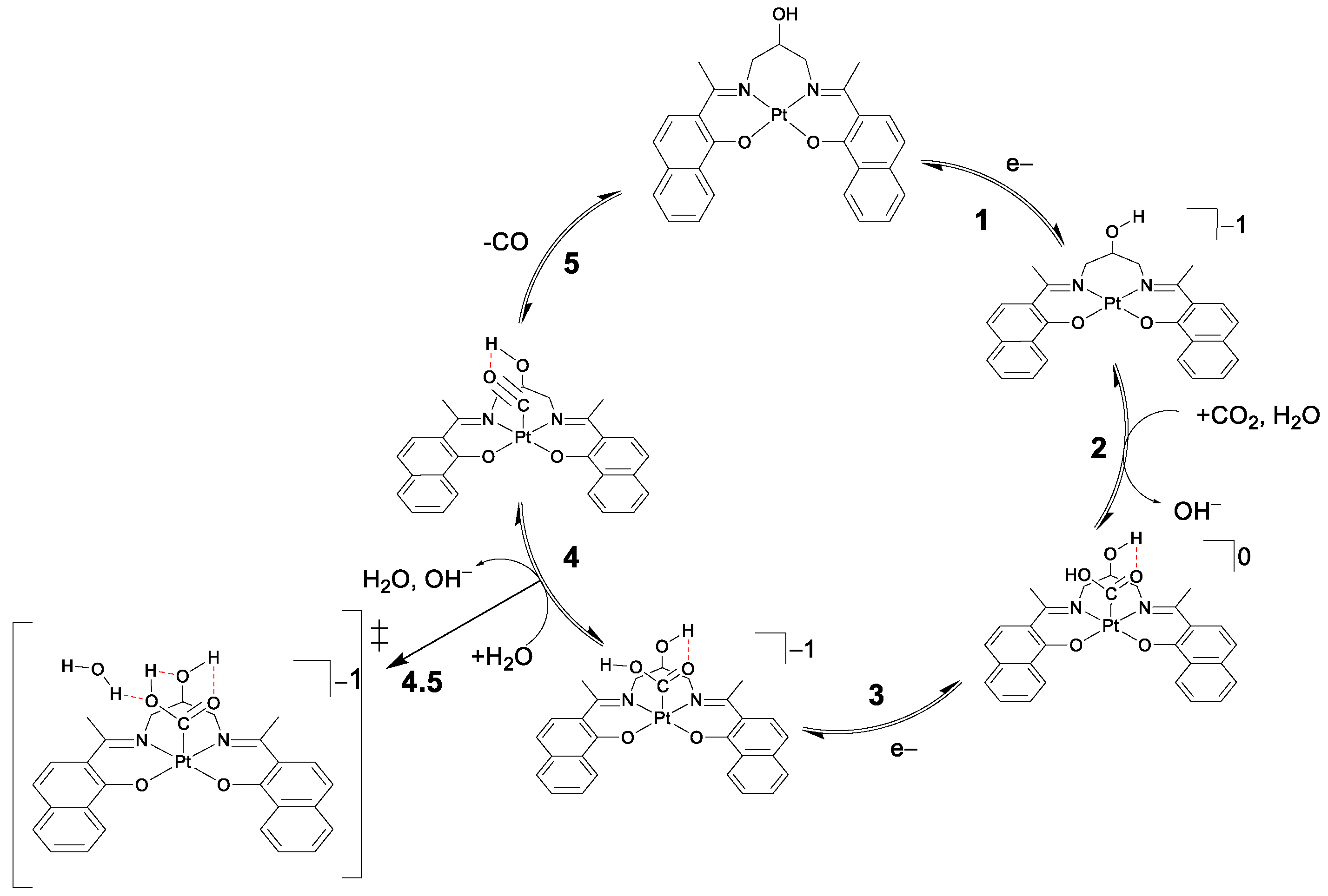 Catalysts 13 00911 g007