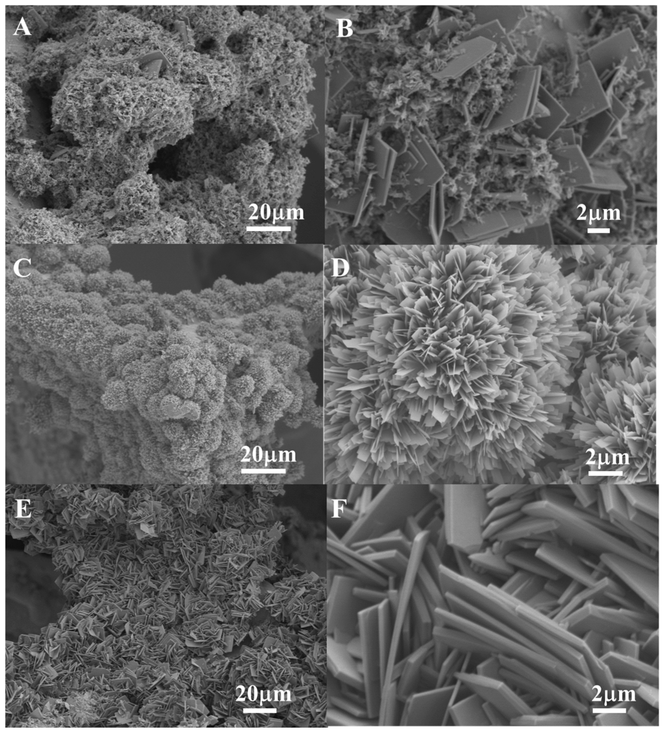 Catalysts 13 00914 g003