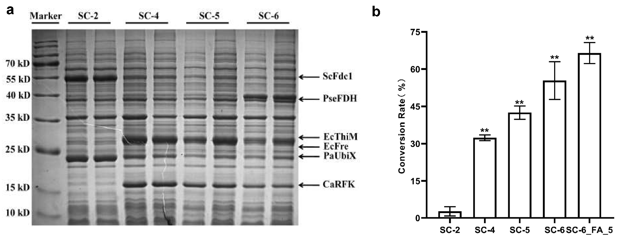 Catalysts 13 00917 g002