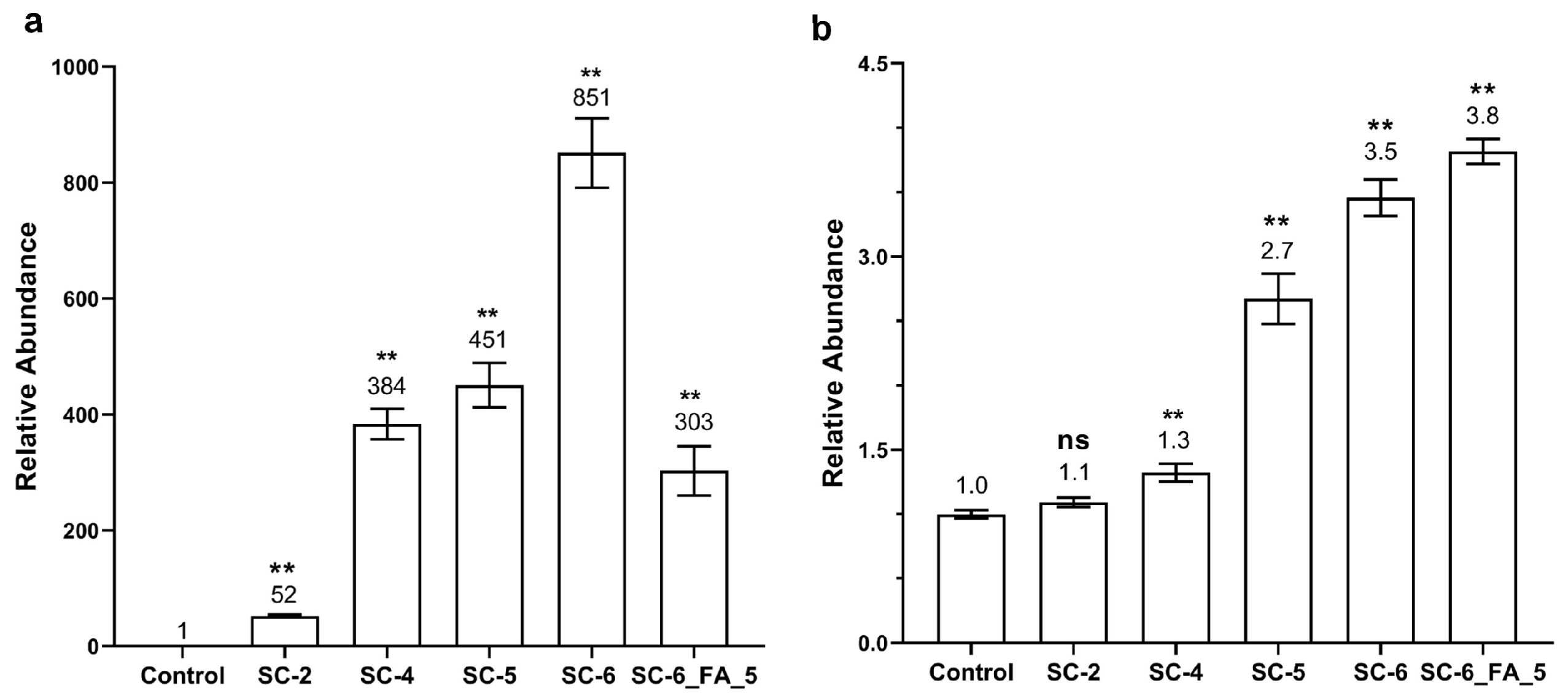 Catalysts 13 00917 g004