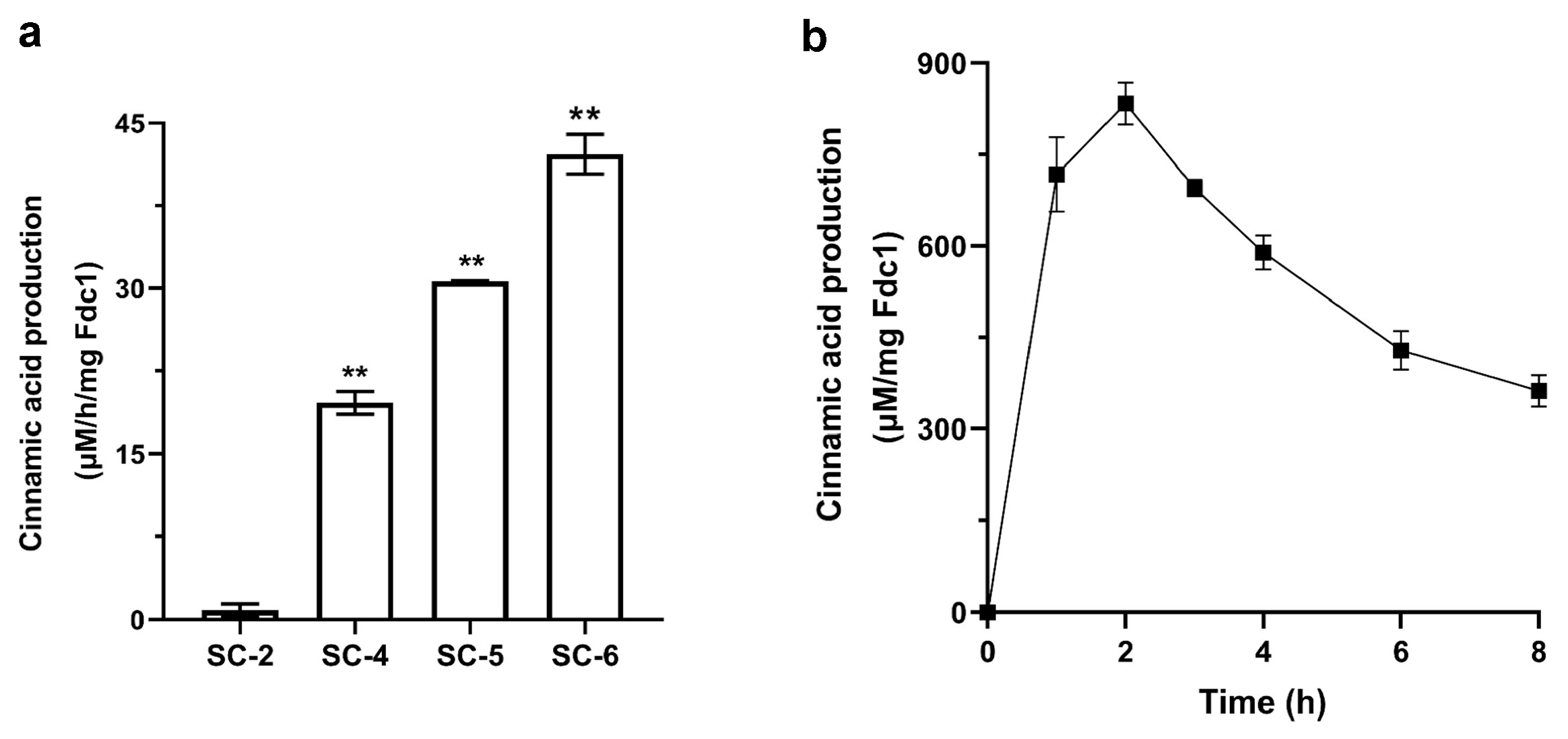 Catalysts 13 00917 g005