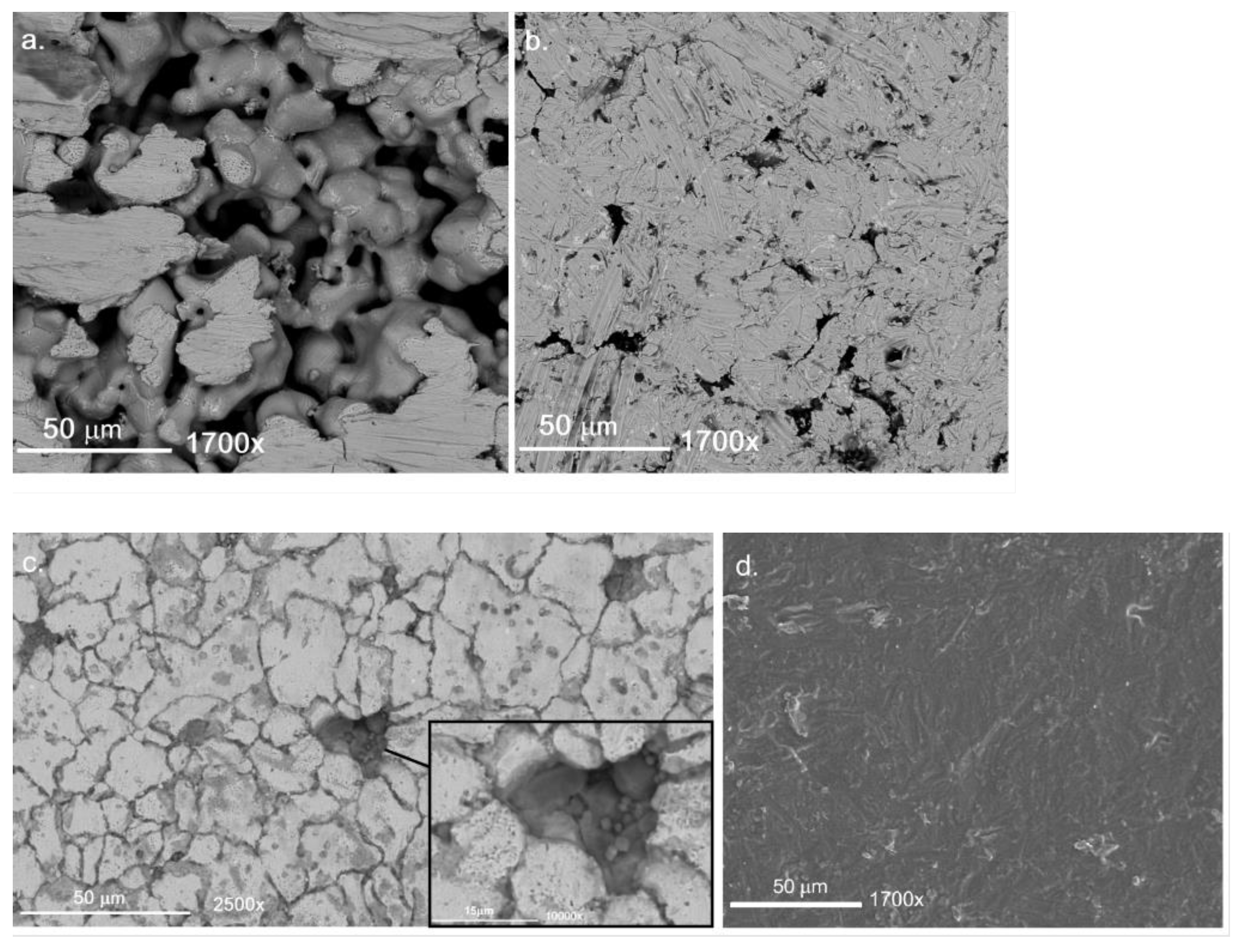 Catalysts 13 00920 g001 Catalysts 13 00920 g001