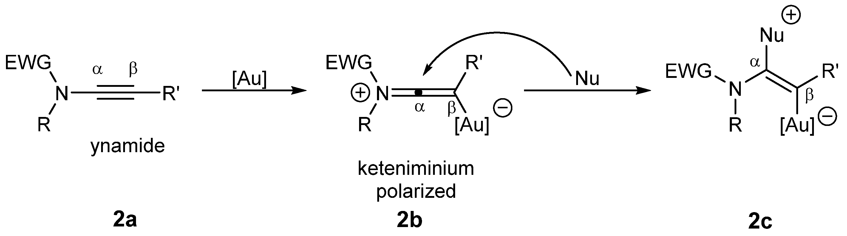 Catalysts 13 00921 sch002