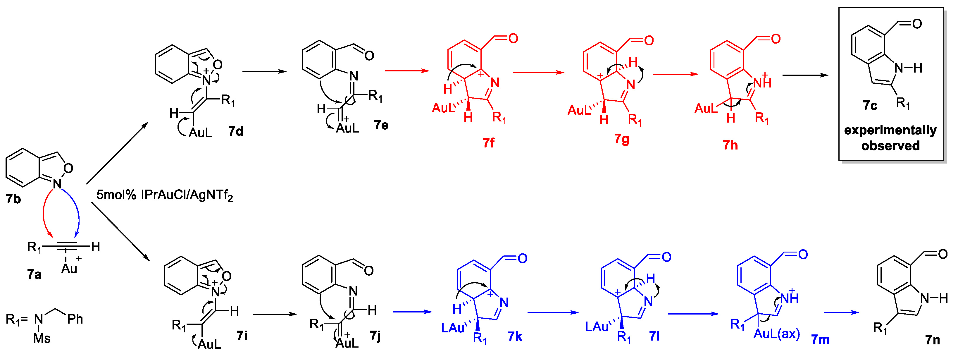 Catalysts 13 00921 sch007