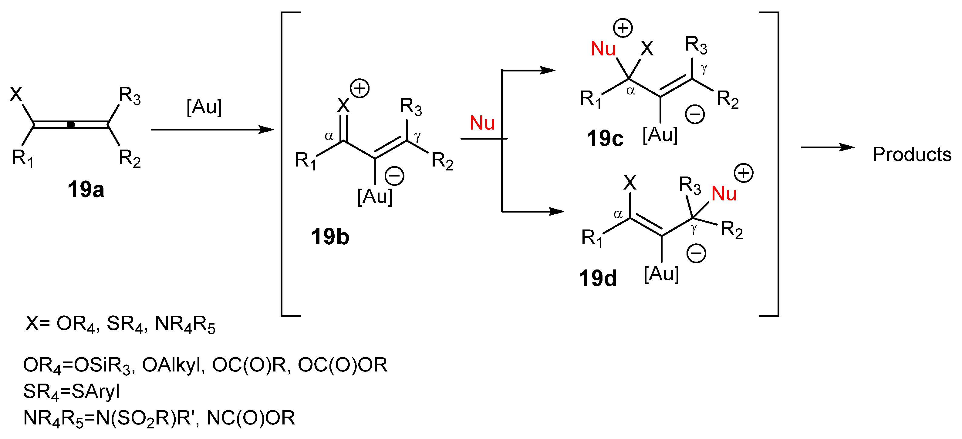 Catalysts 13 00921 sch019