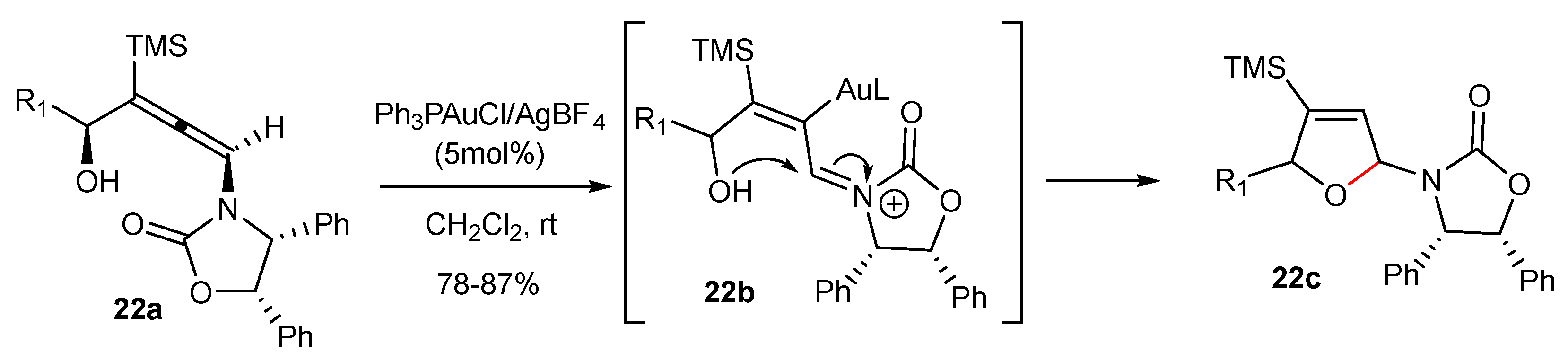 Catalysts 13 00921 sch022
