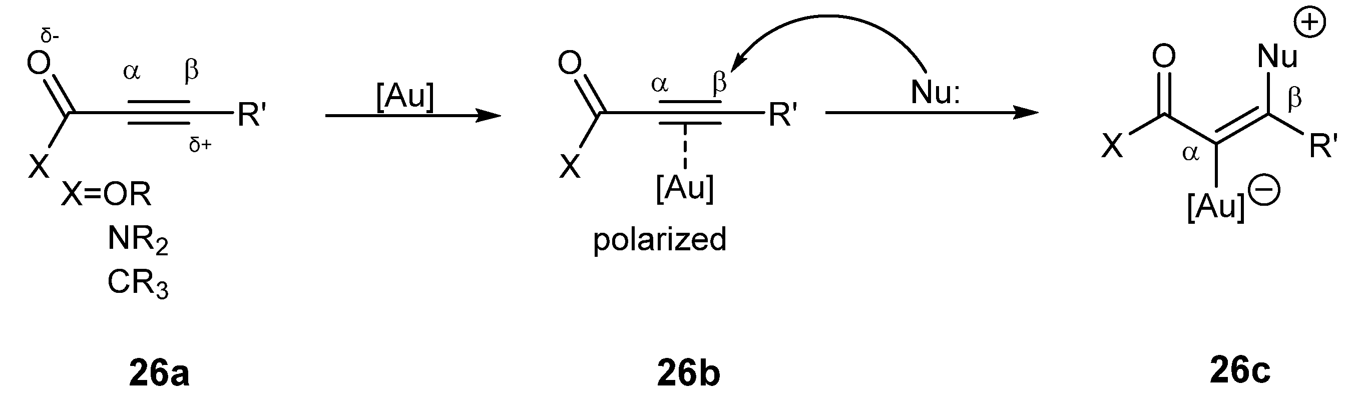 Catalysts 13 00921 sch026