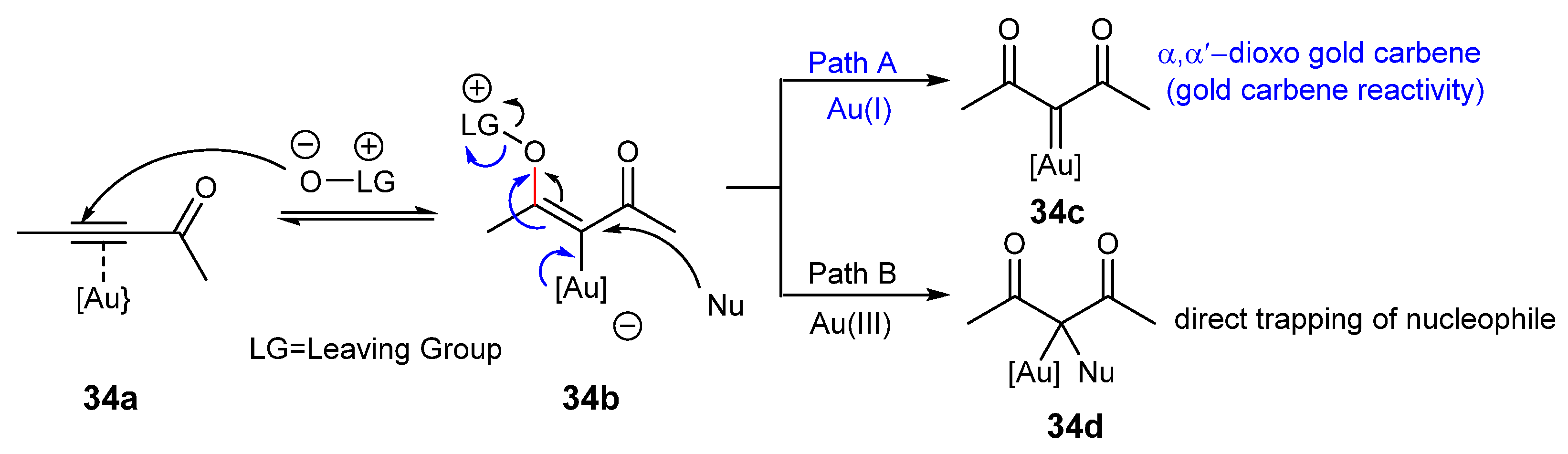 Catalysts 13 00921 sch034