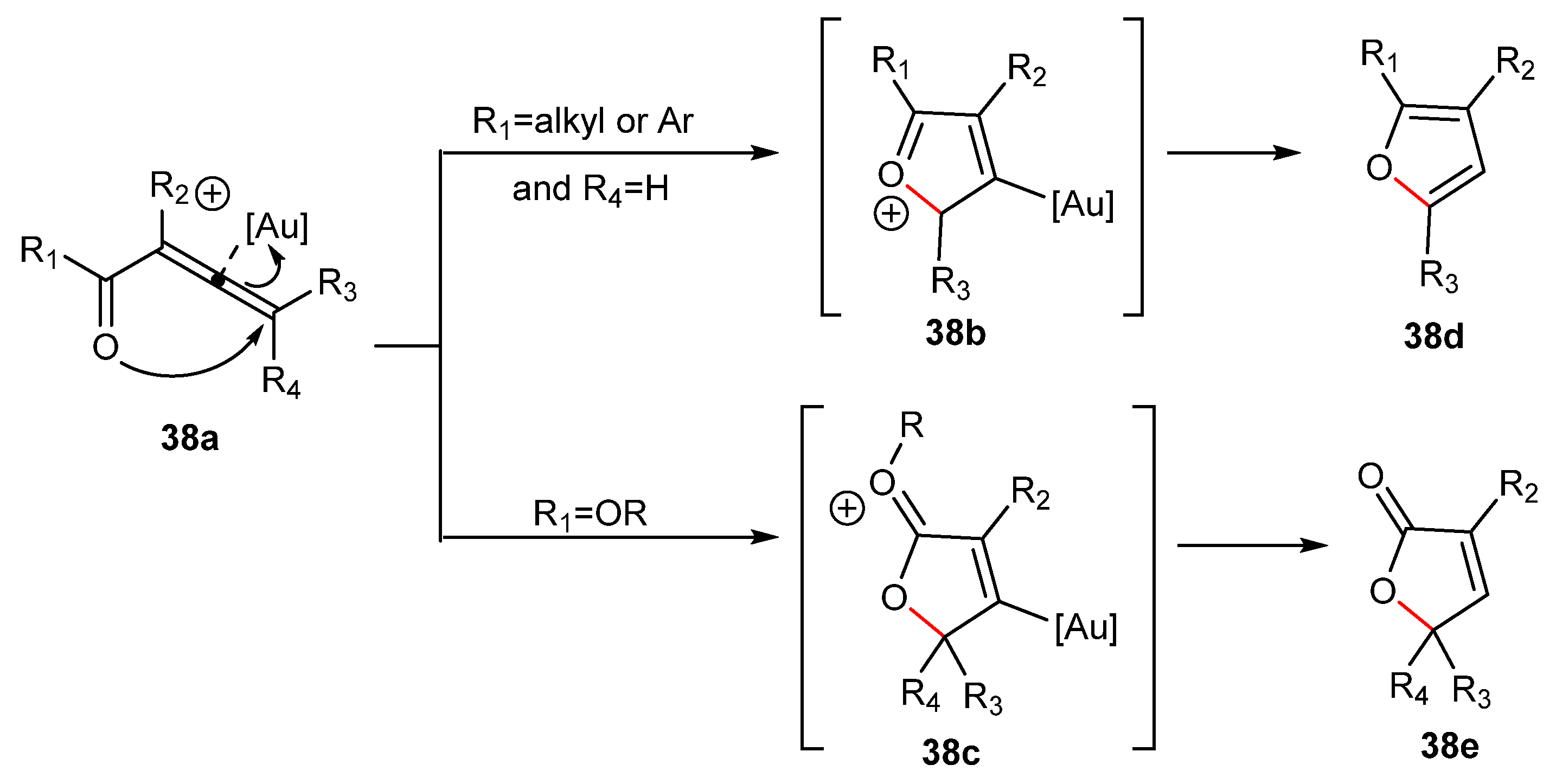Catalysts 13 00921 sch038