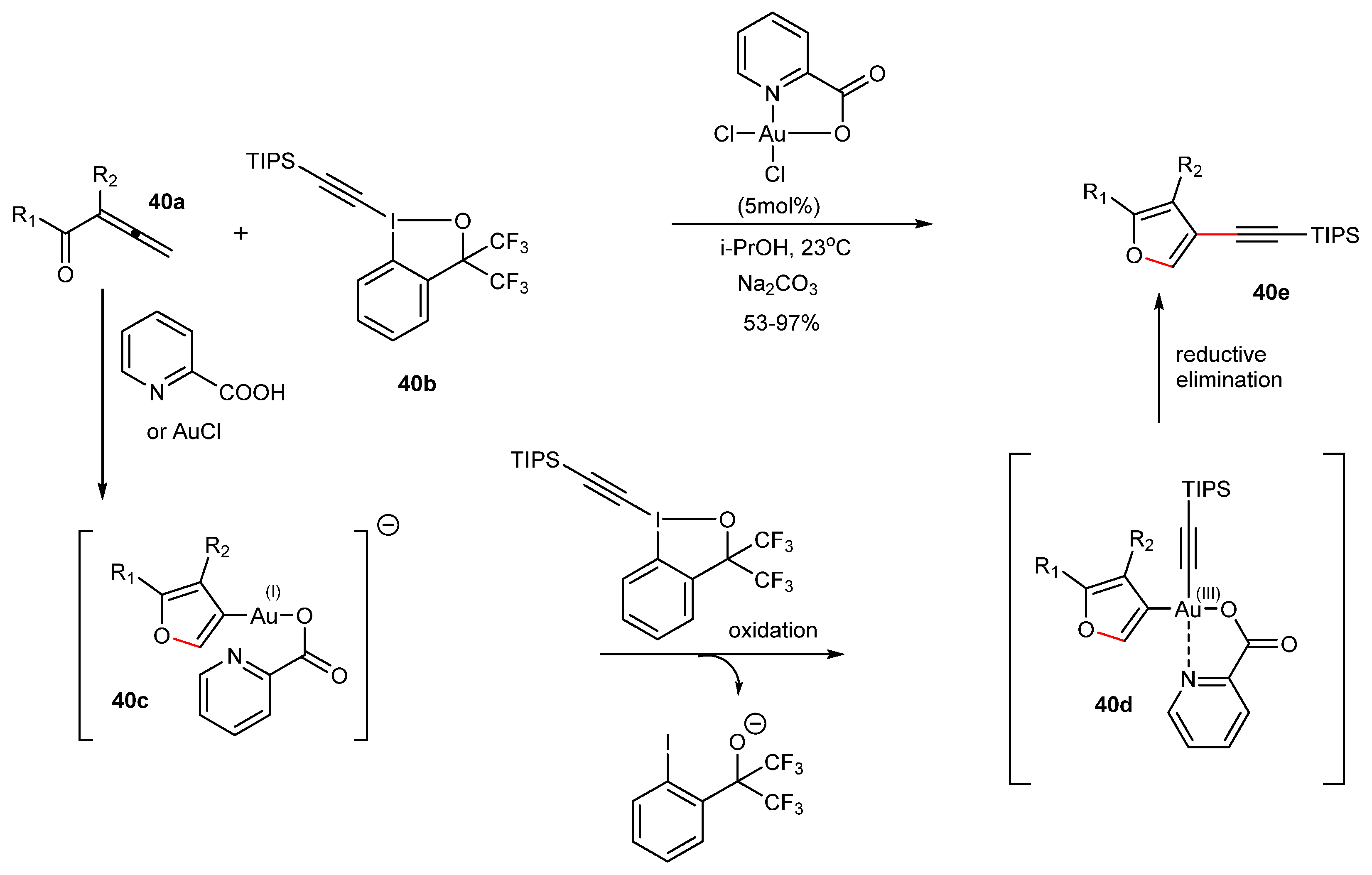 Catalysts 13 00921 sch040