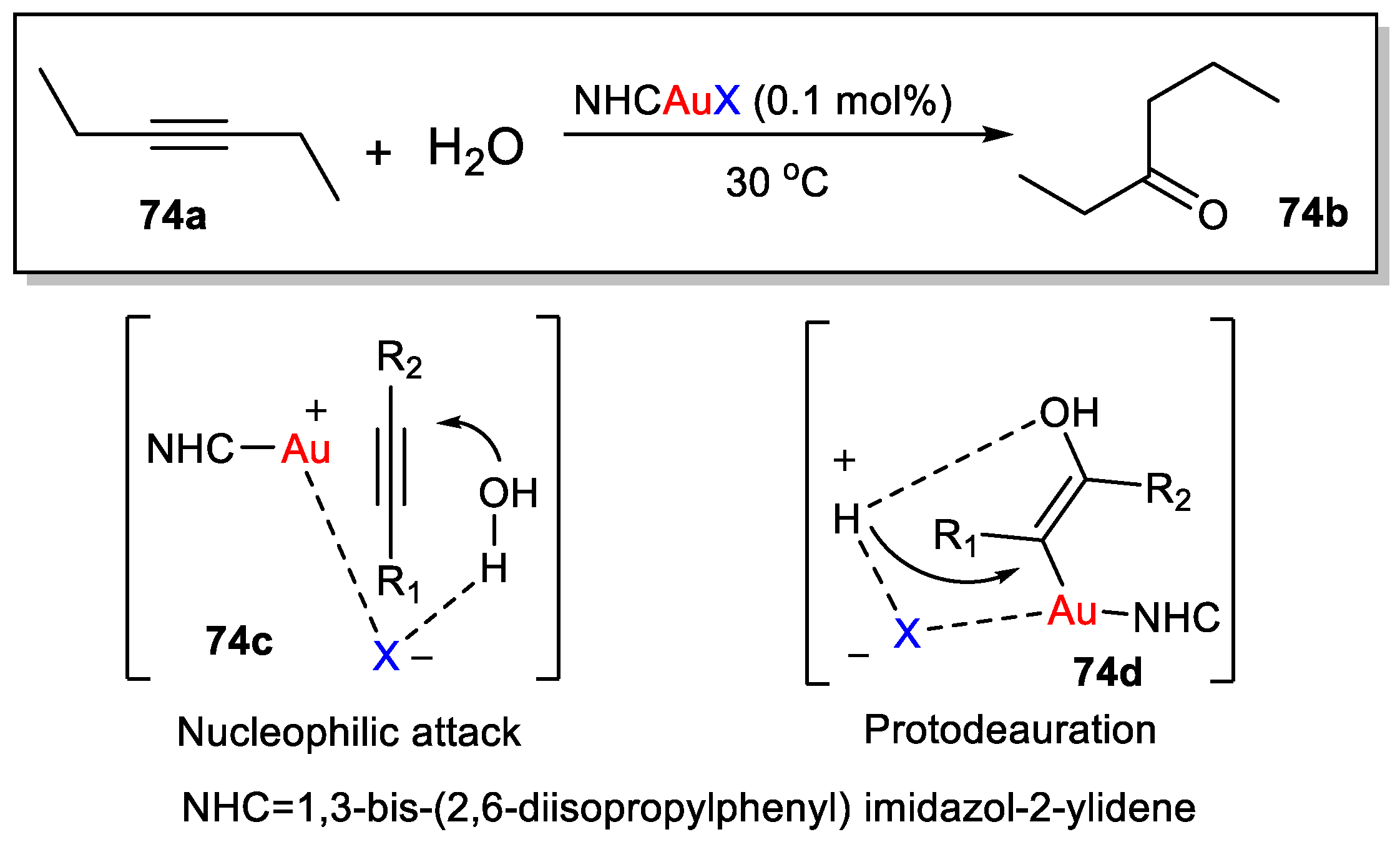 Catalysts 13 00921 sch074