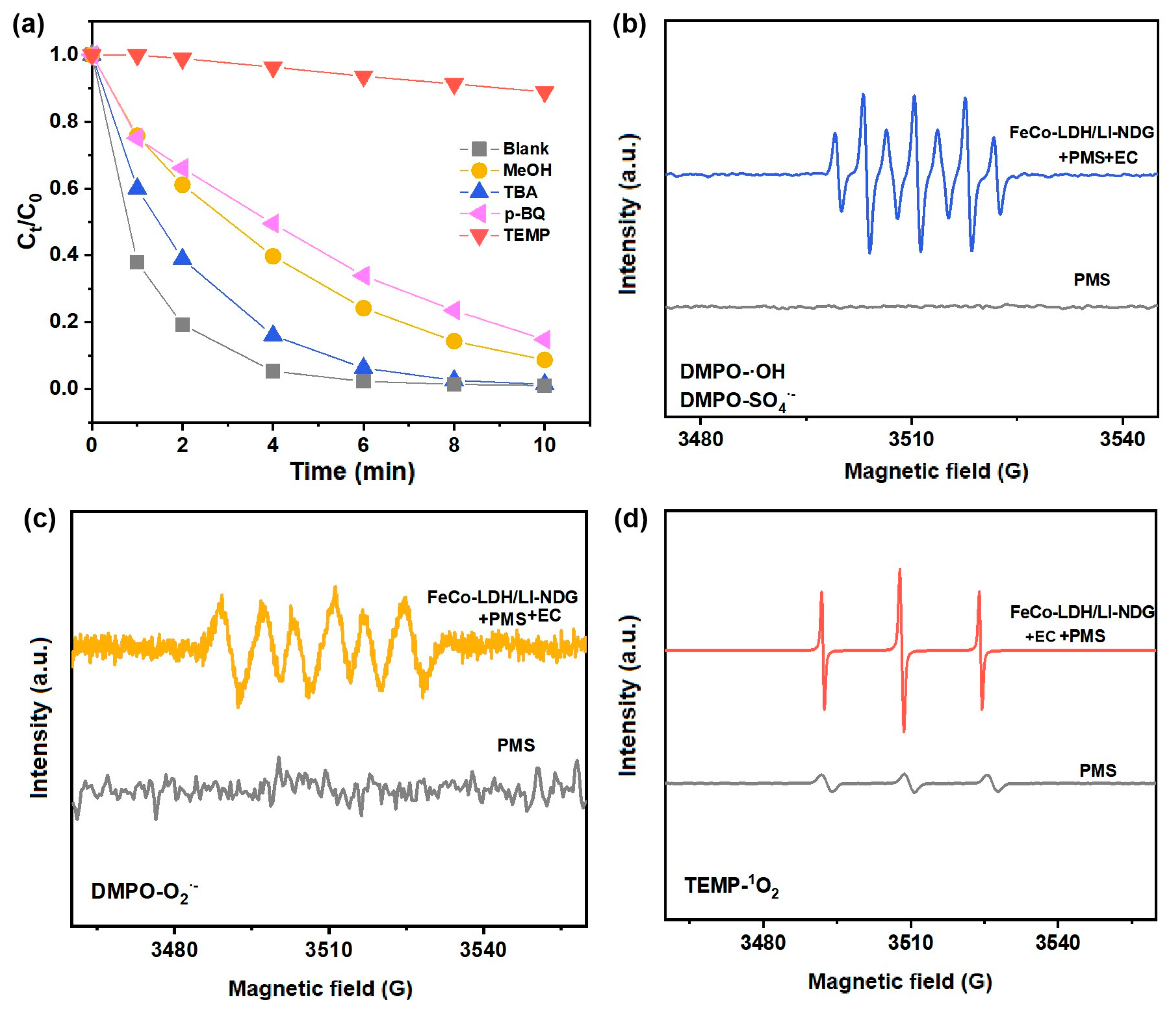 Catalysts 13 00922 g007