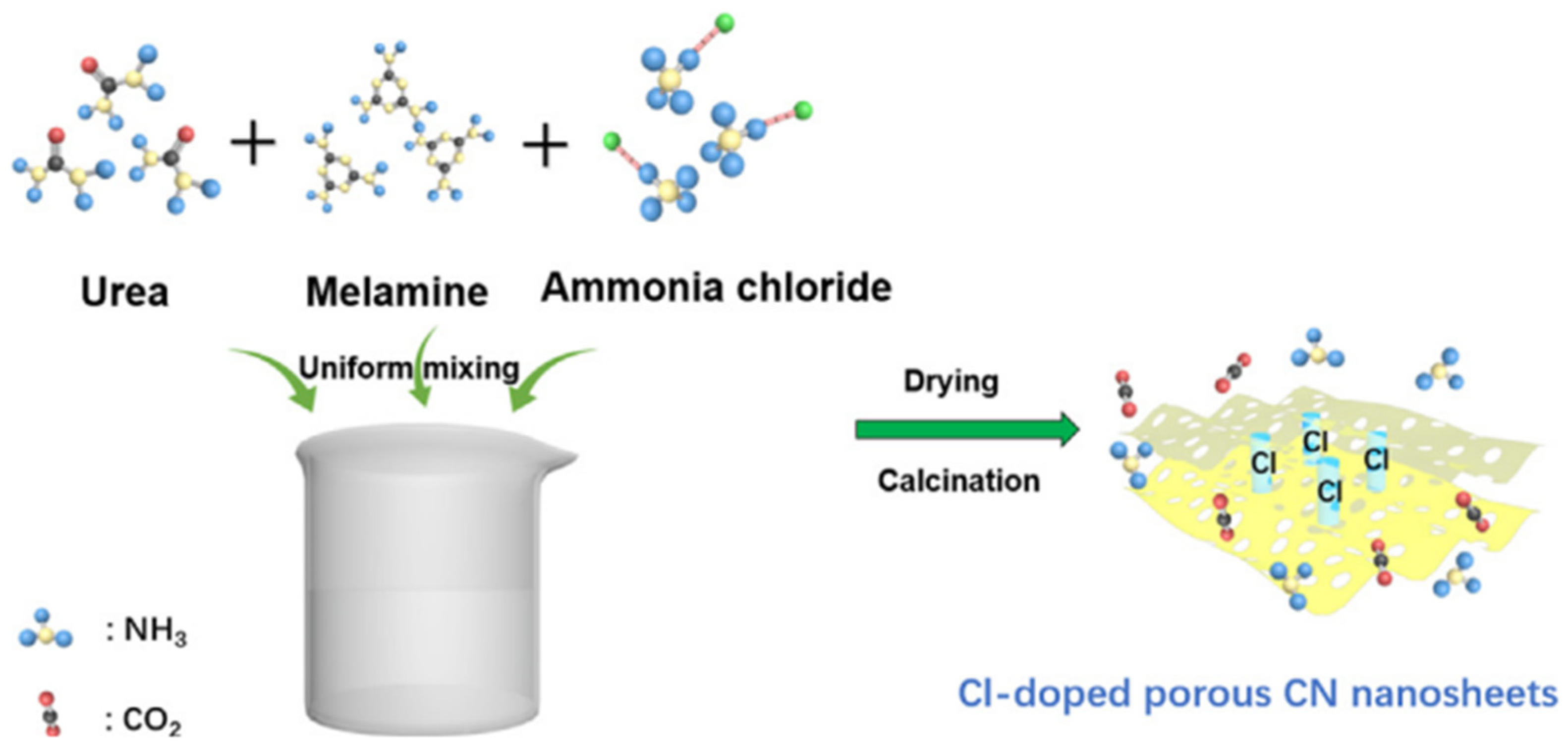 Catalysts 13 00925 g001
