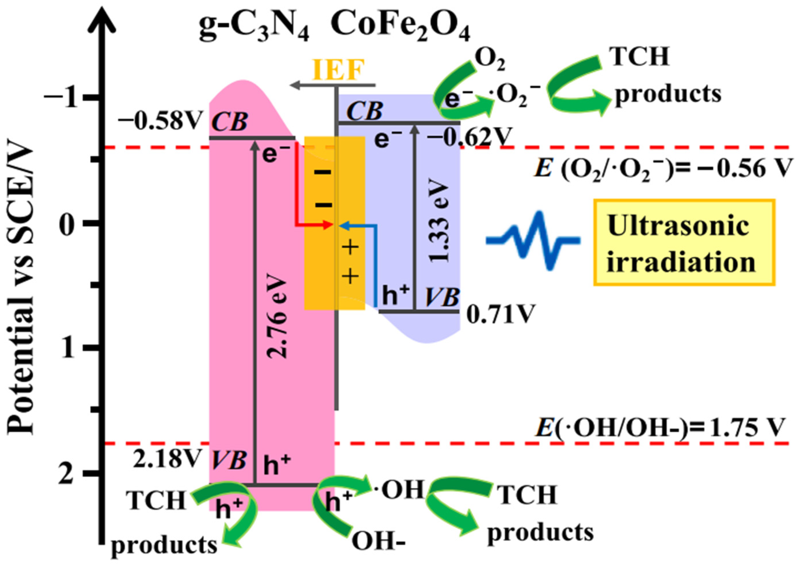 Catalysts 13 00925 g003